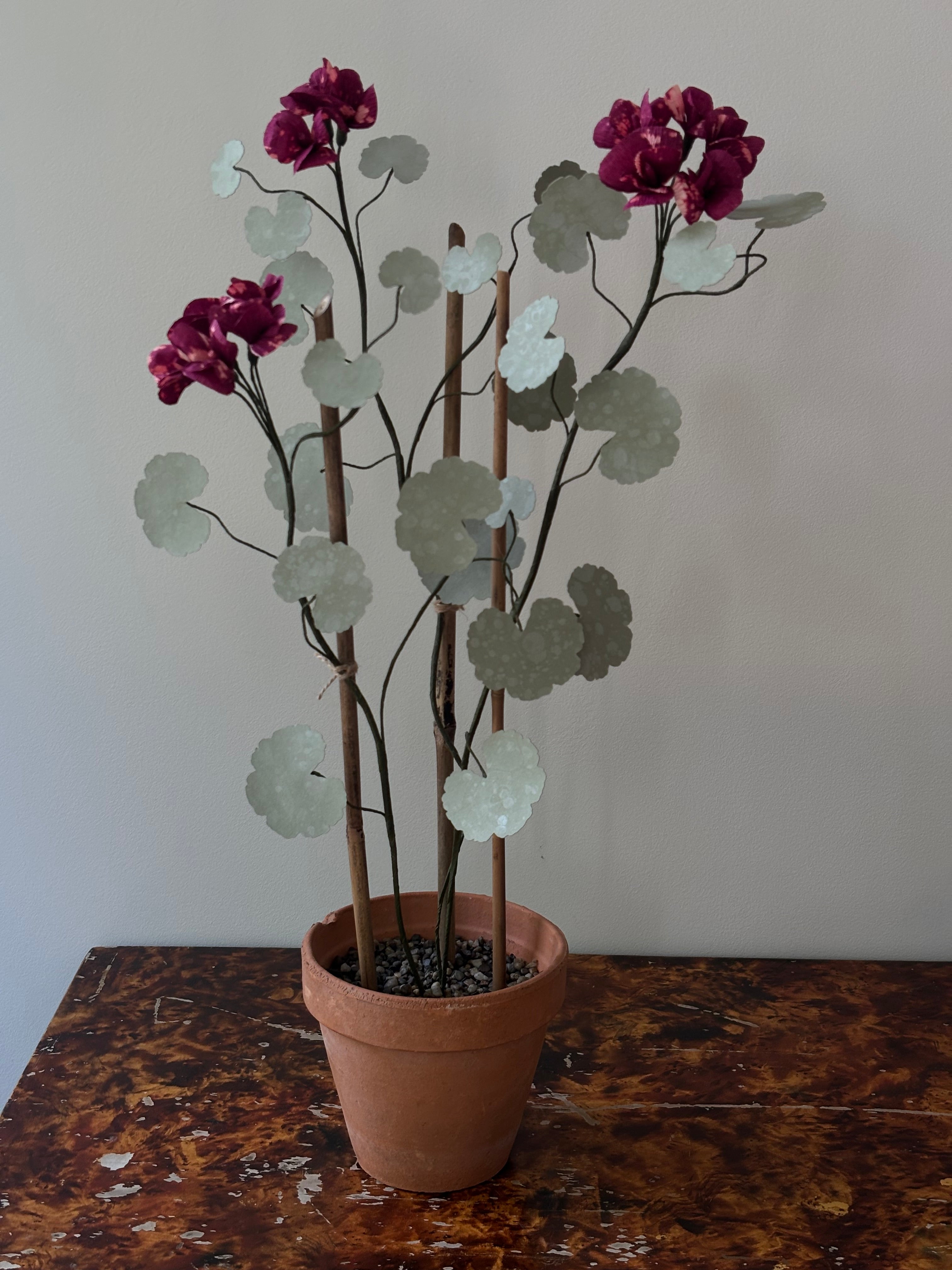 Paper Geranium