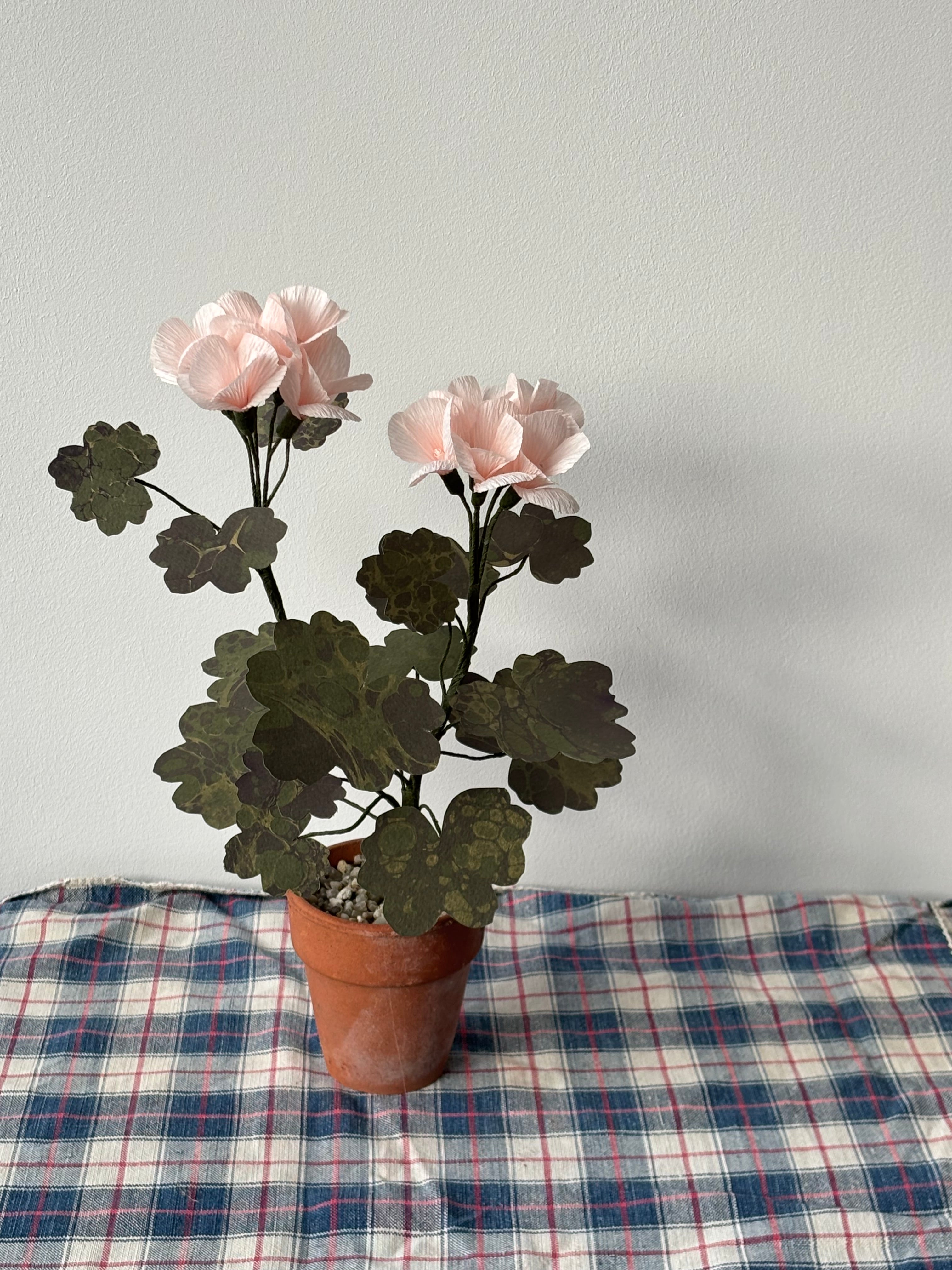 Paper Geranium