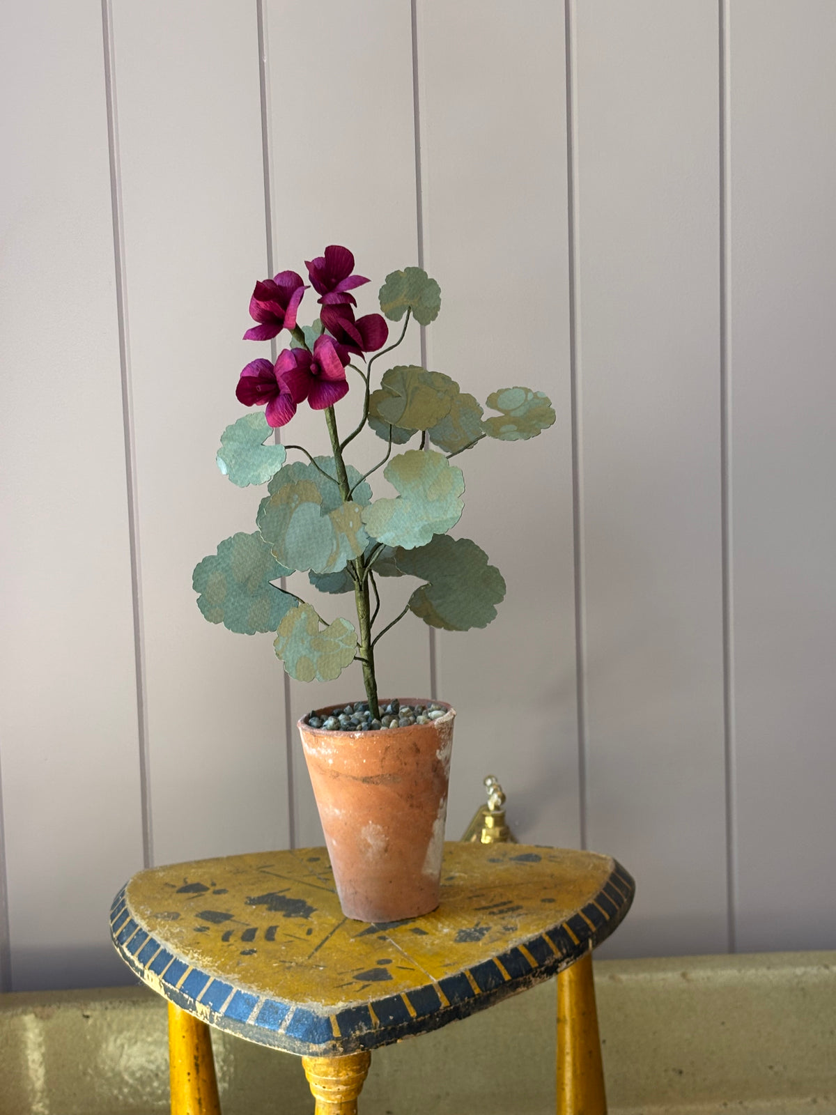 Paper geranium