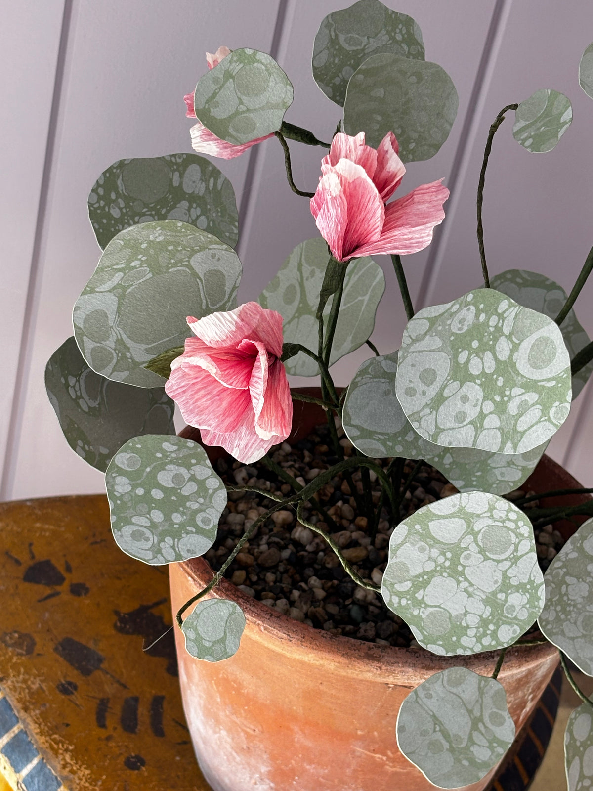 Paper nasturtium
