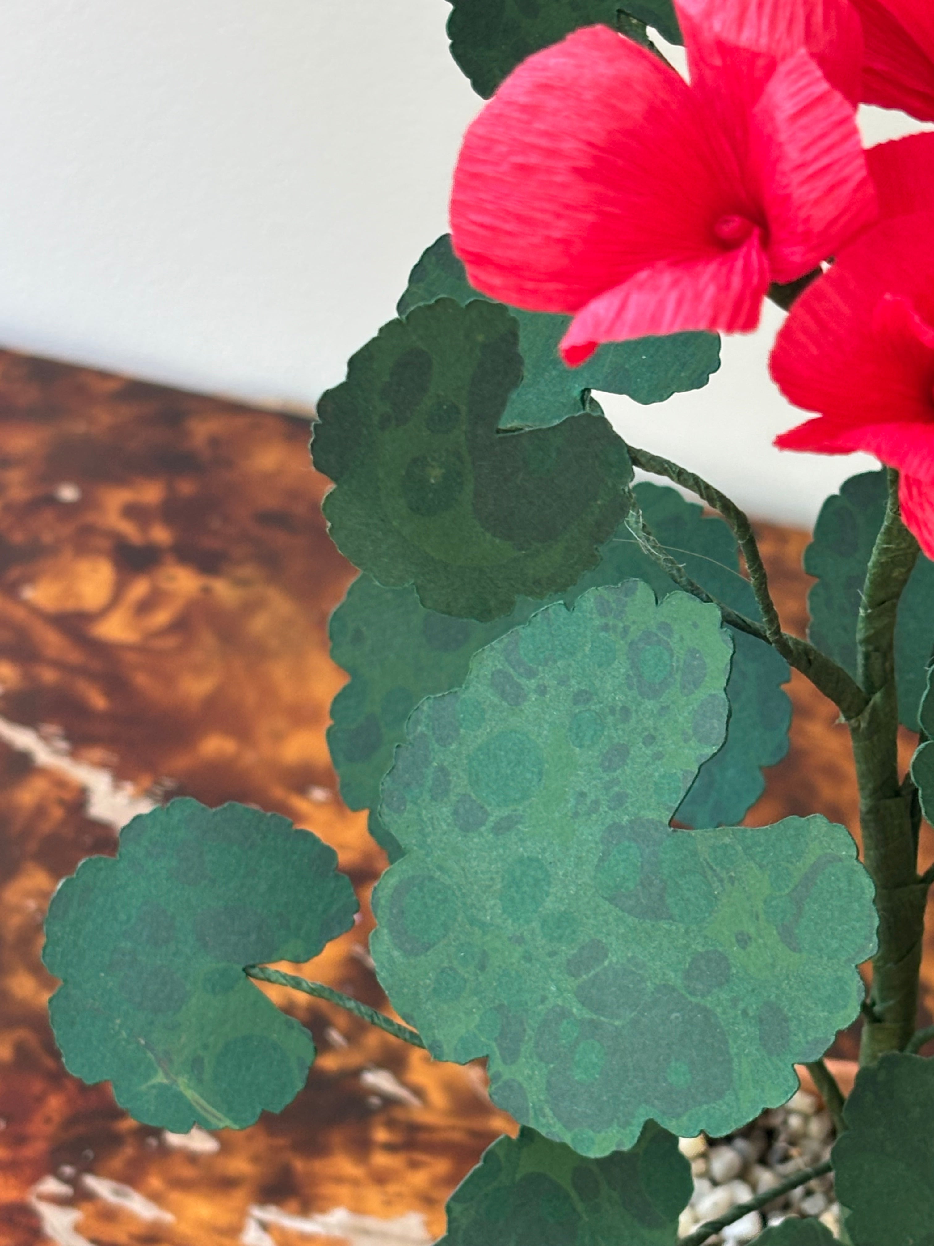 Paper Geranium