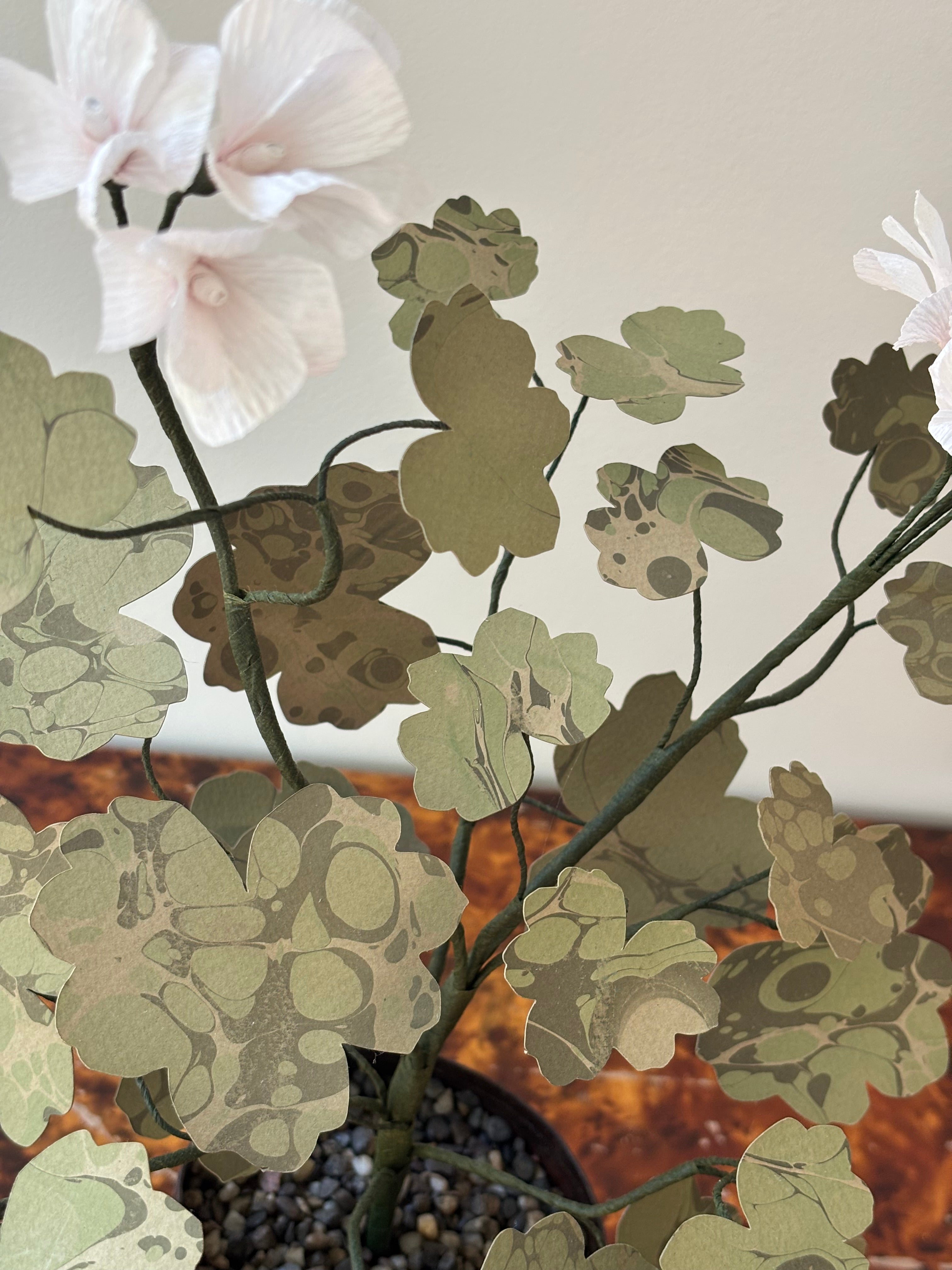 Paper Geranium