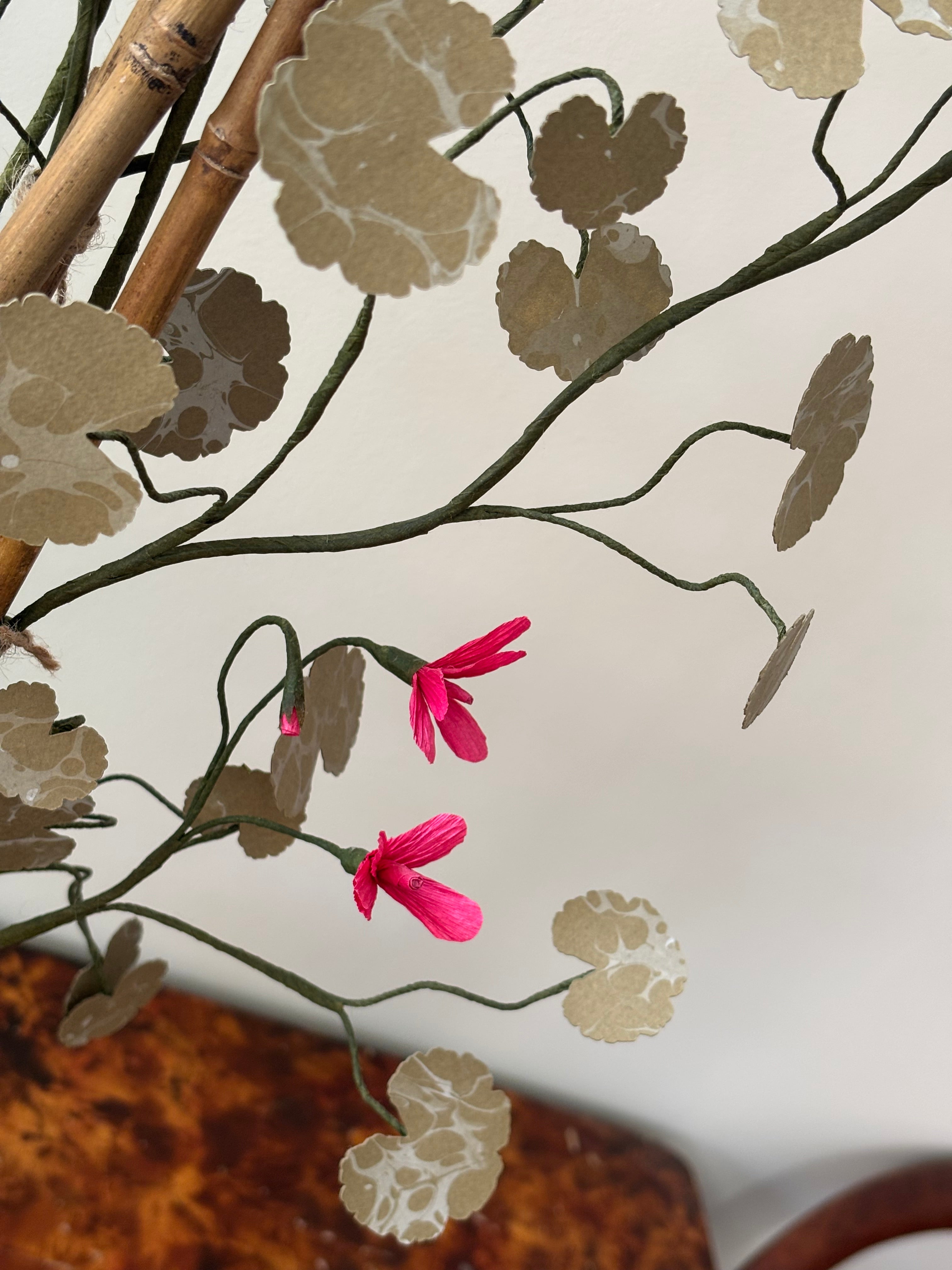 Paper Geranium