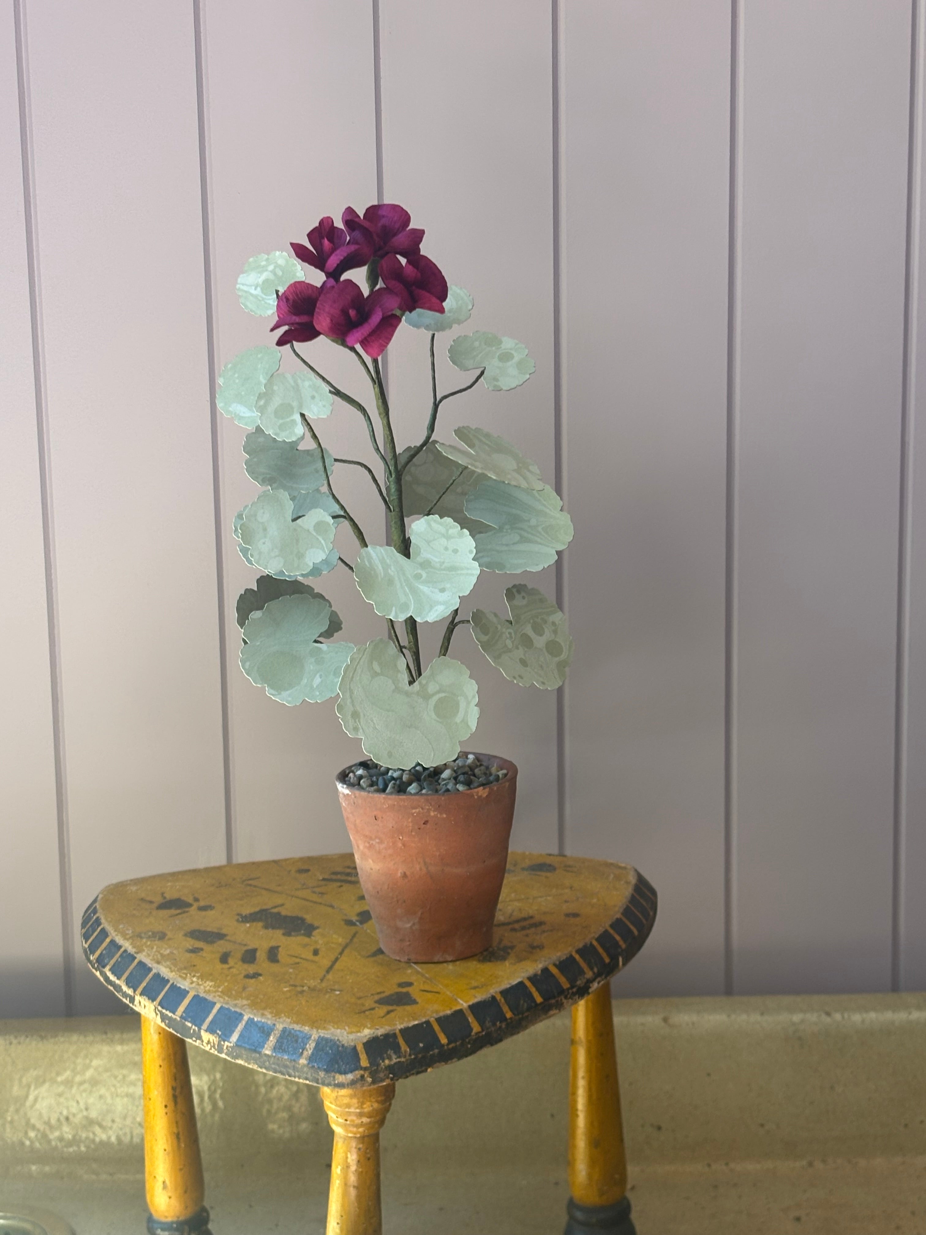 Paper geranium
