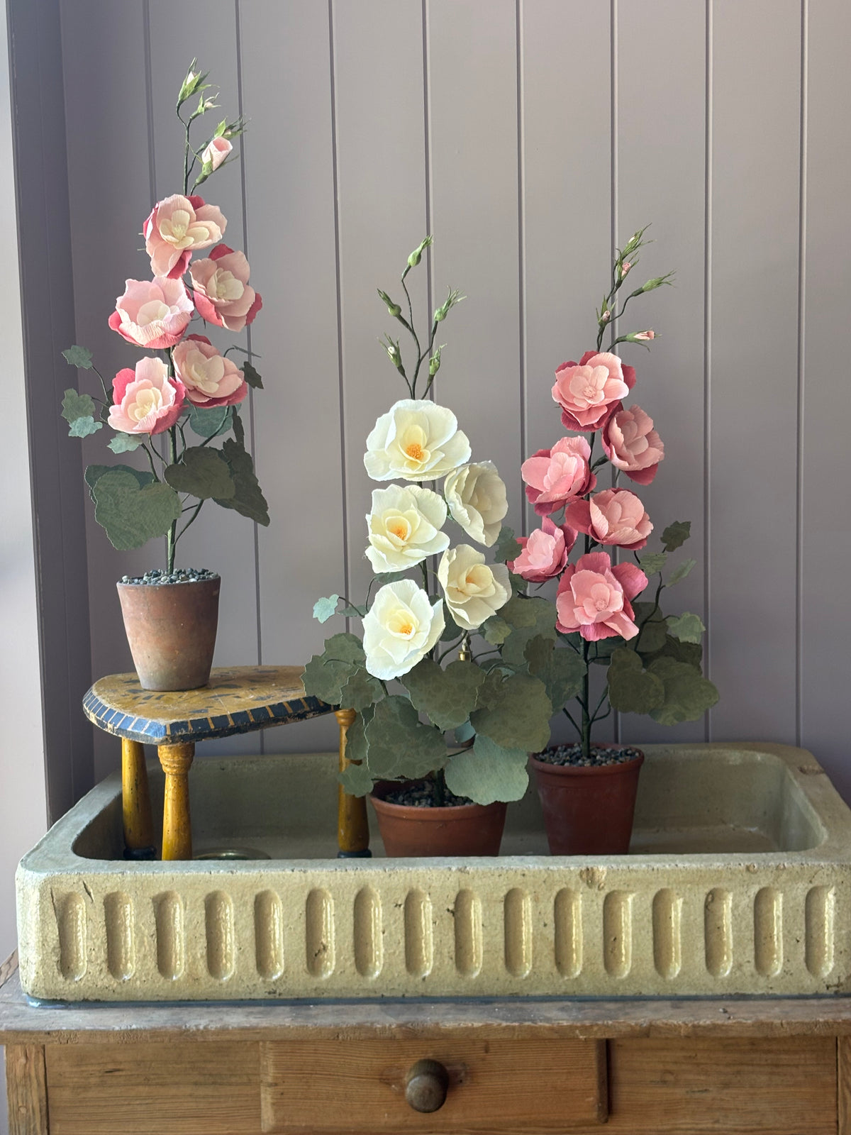 Paper Hollyhock