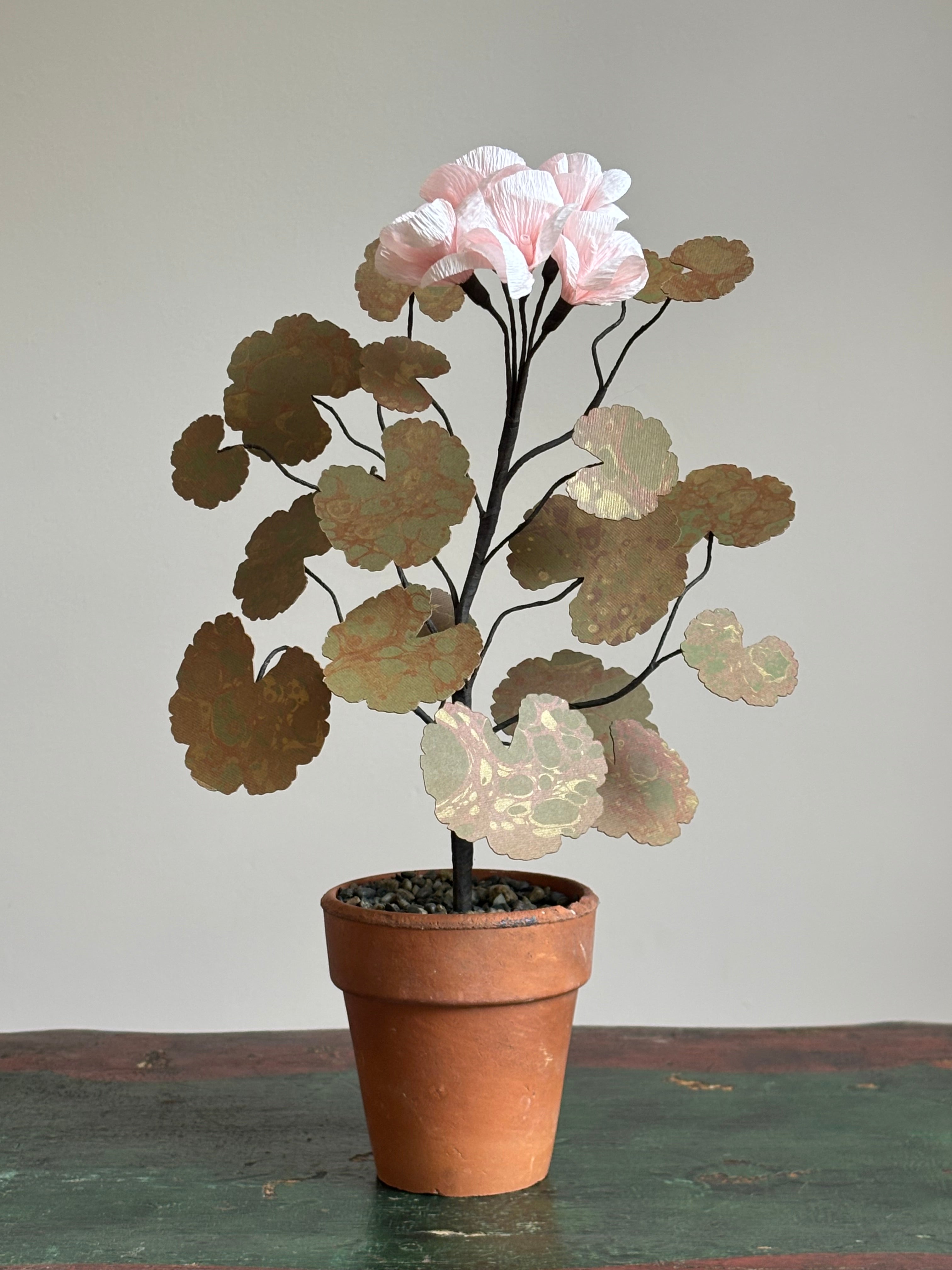 Paper Geraniums