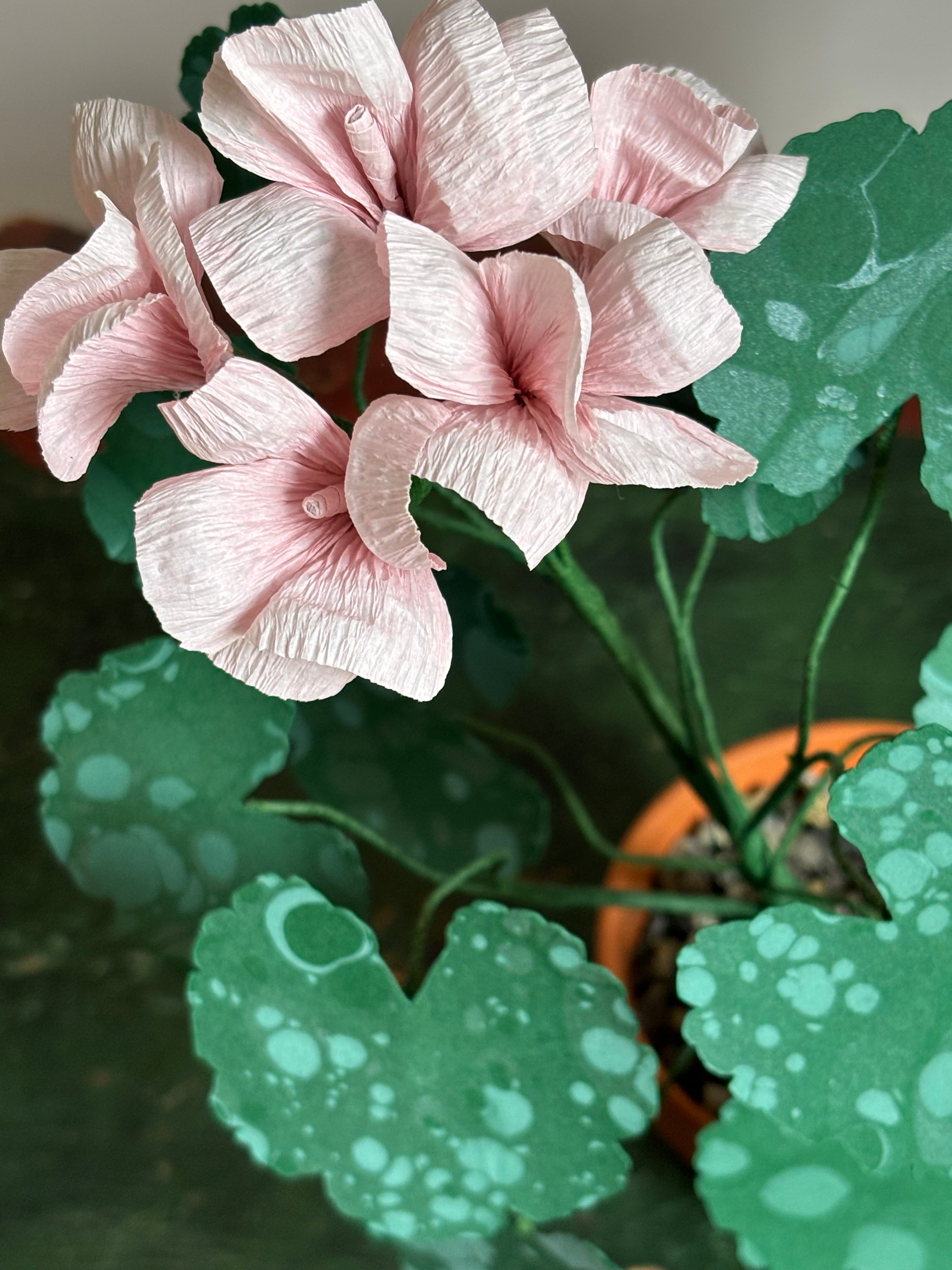 Paper Geranium