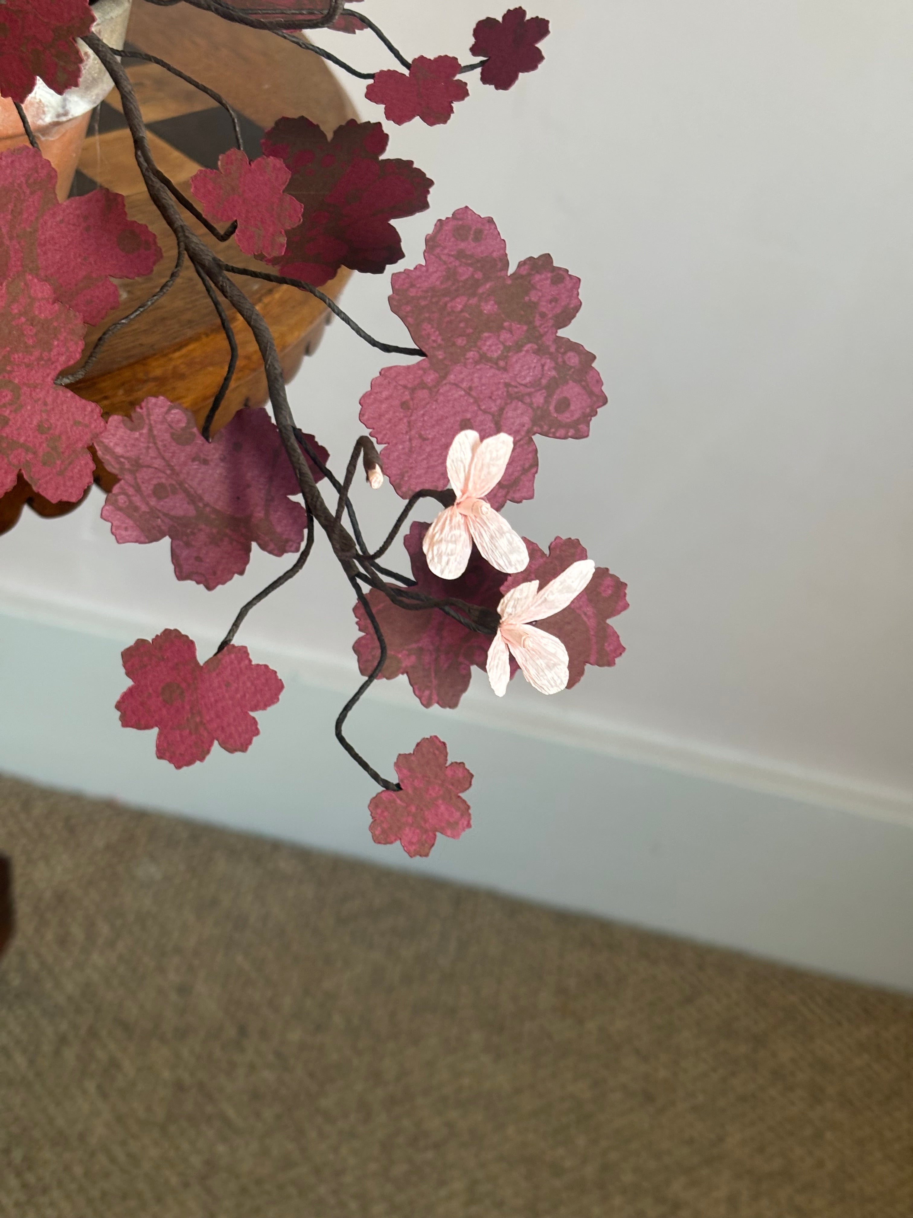 Paper Geranium, trailing