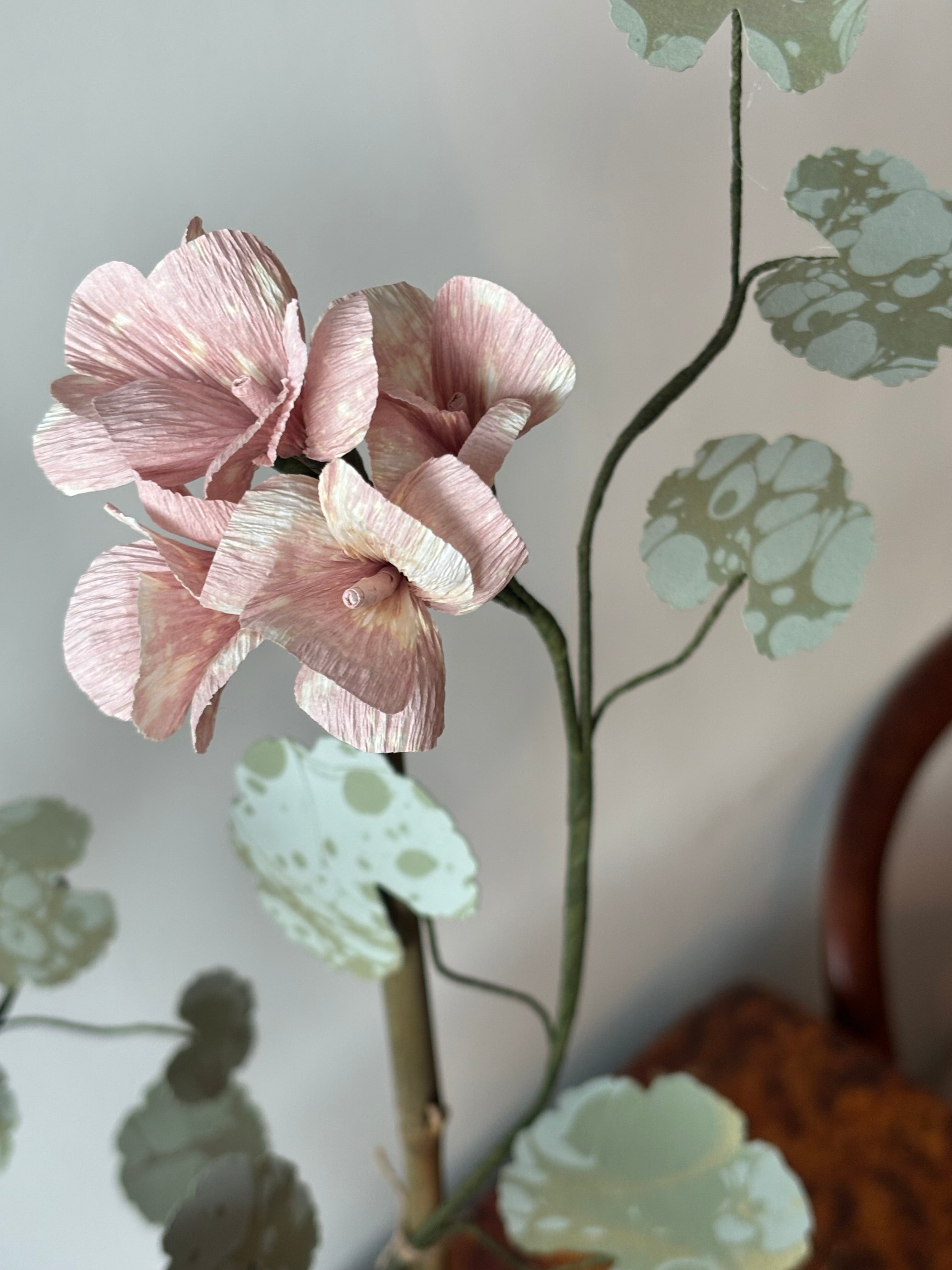 Paper Geranium