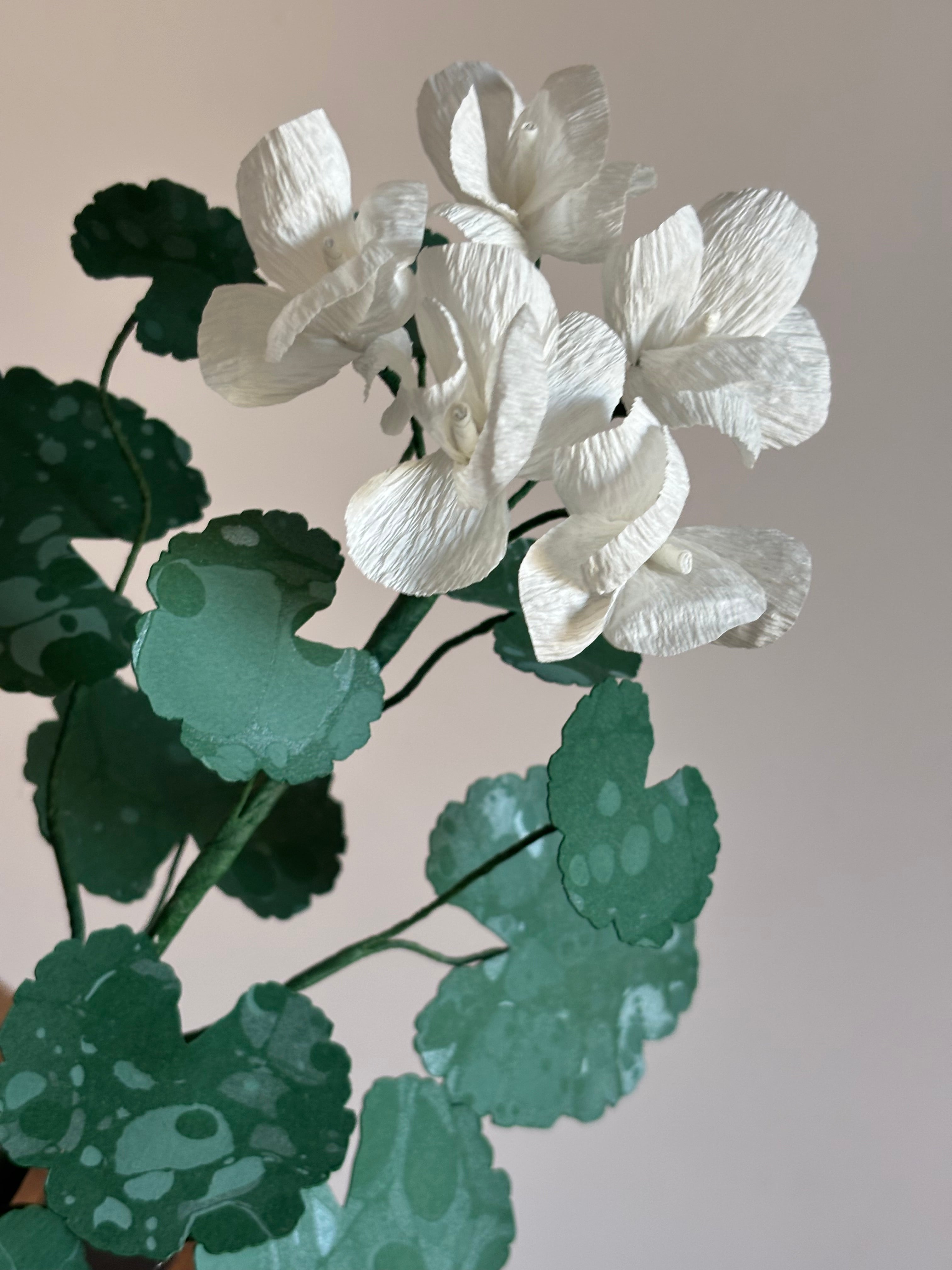 Paper Geranium