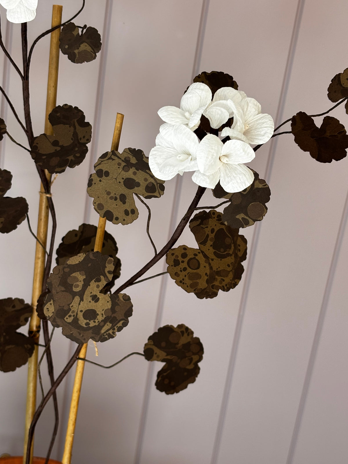 Paper geranium