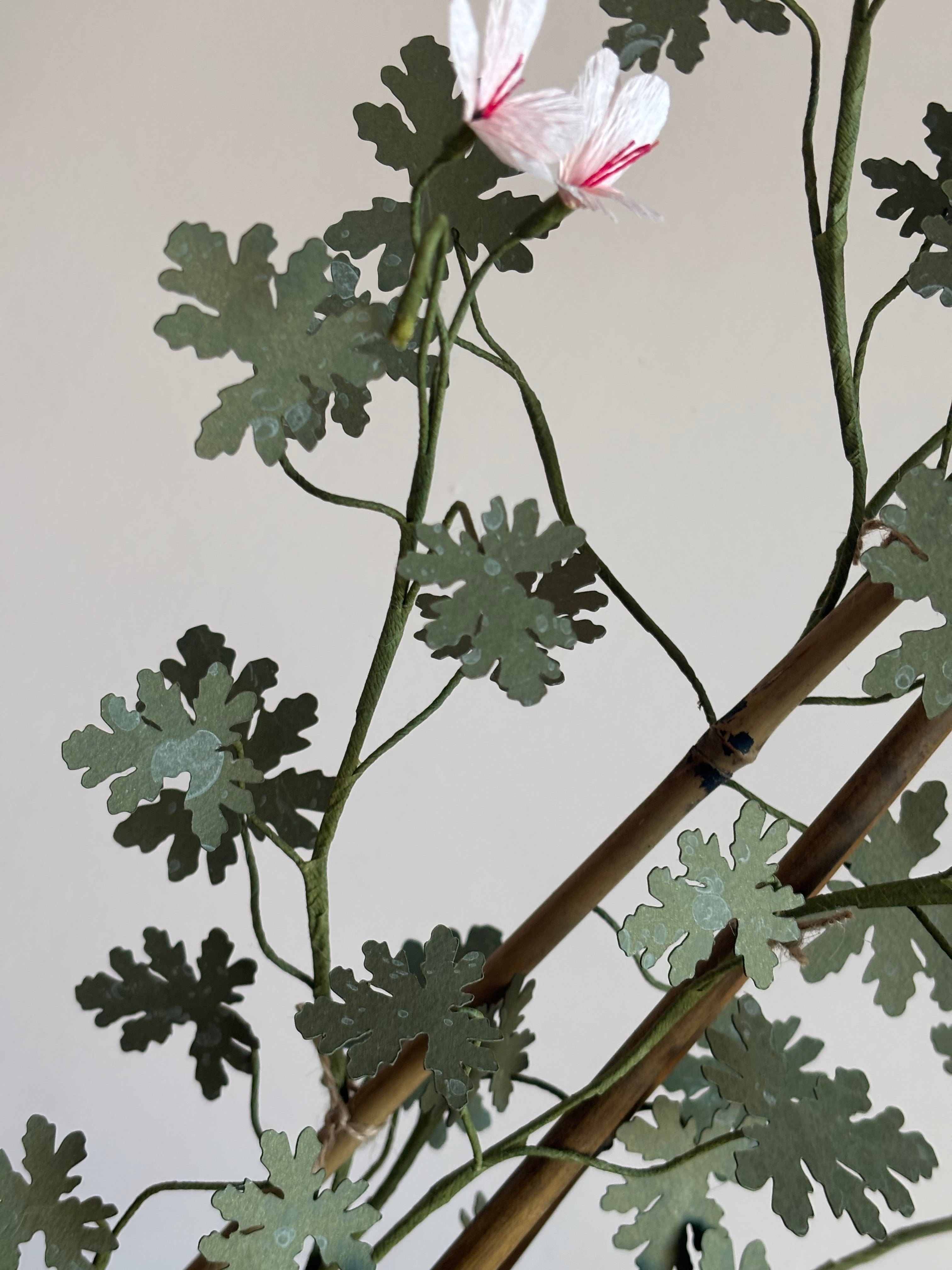 Paper Pelargonium, inspired by Pelargonium radens