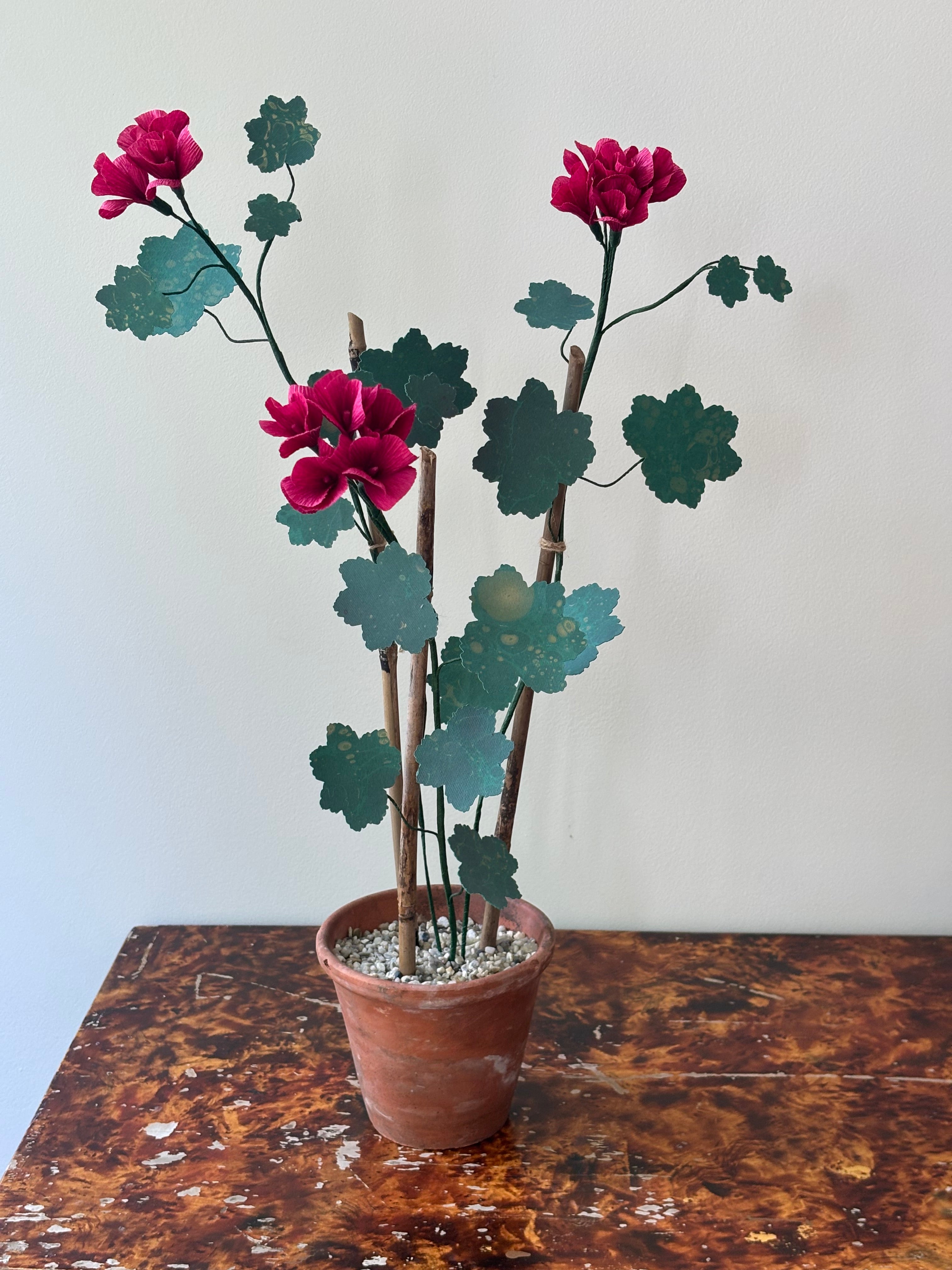 Paper Geranium