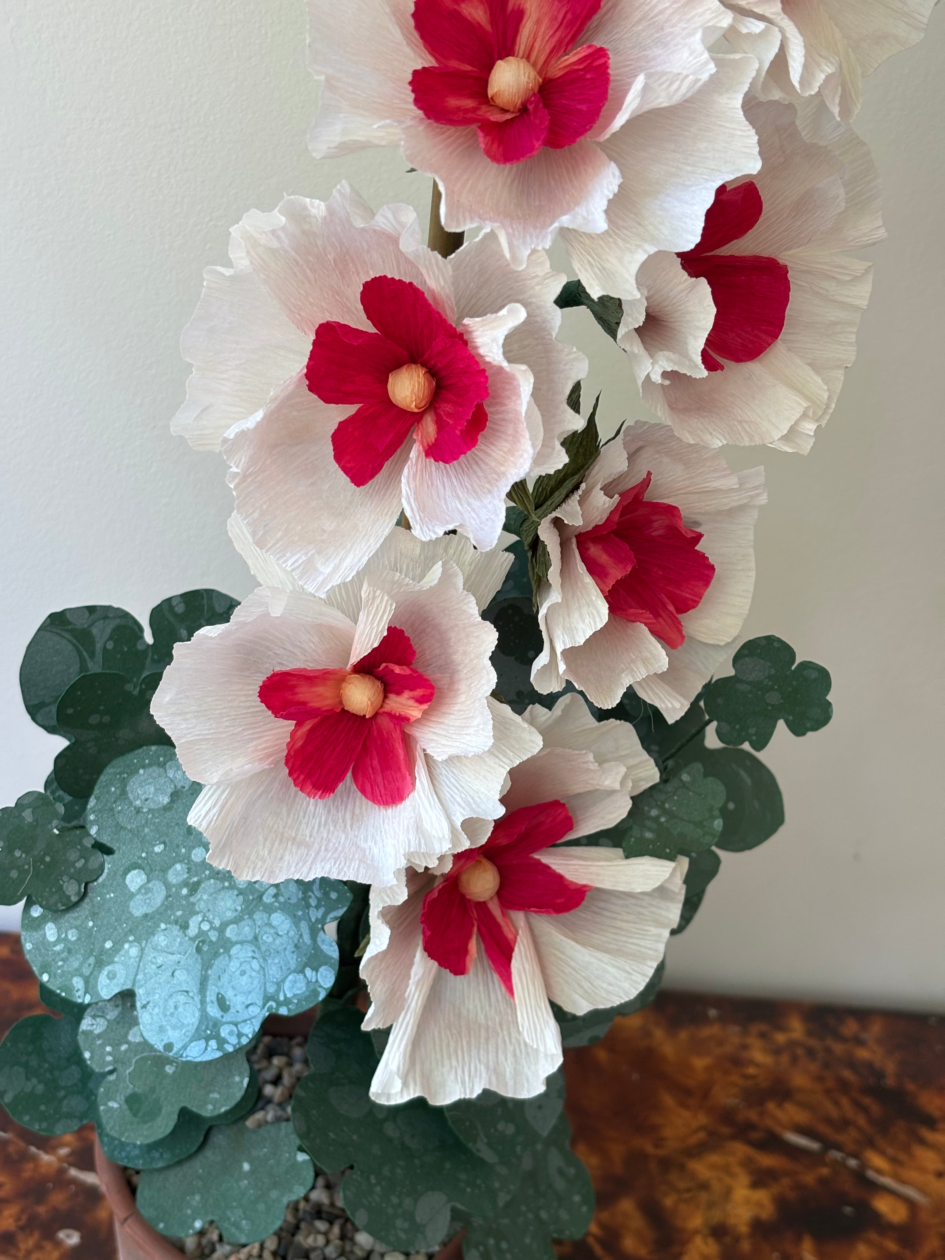 Paper Hollyhock