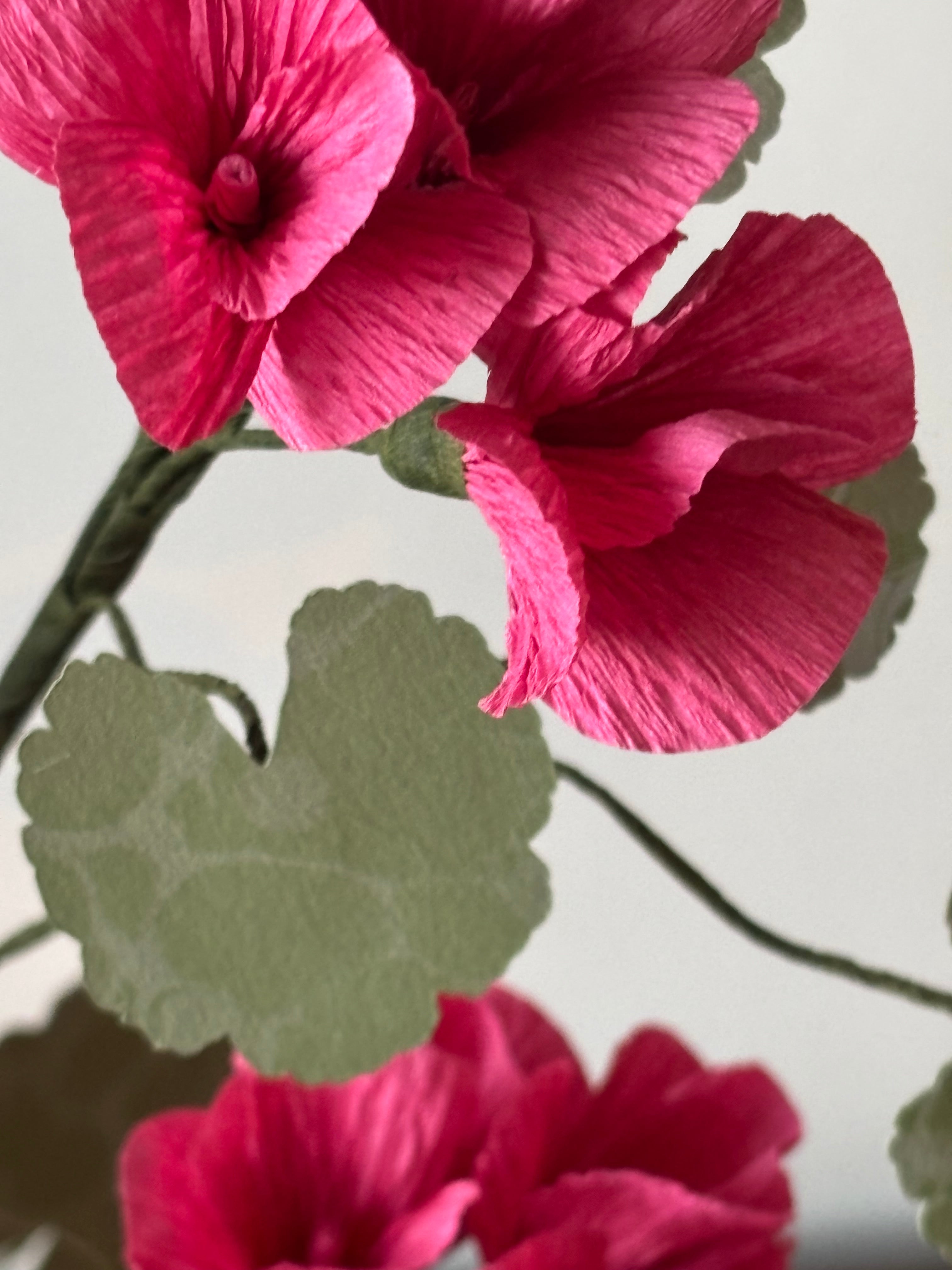 Paper Geranium