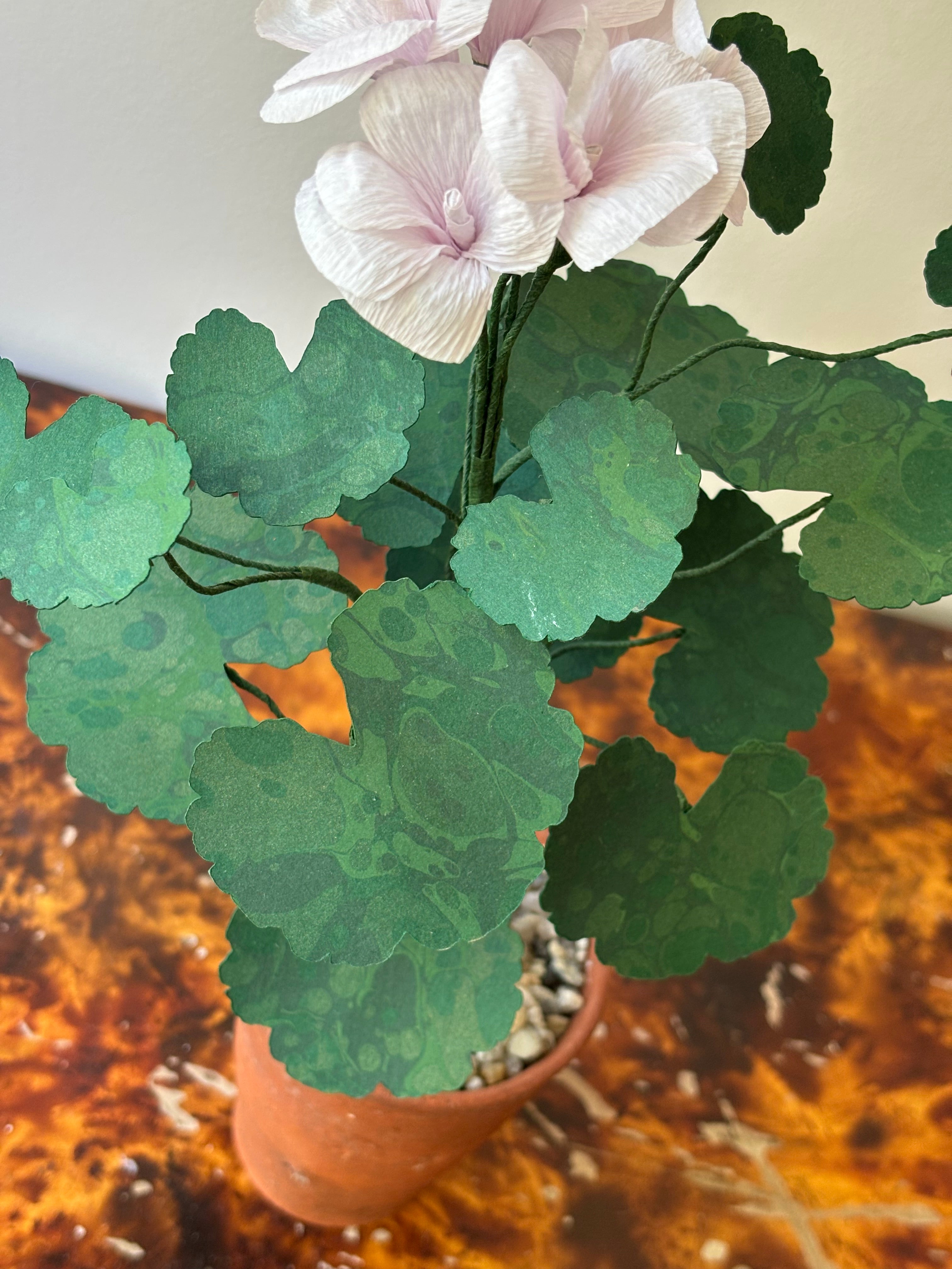 Paper Geranium