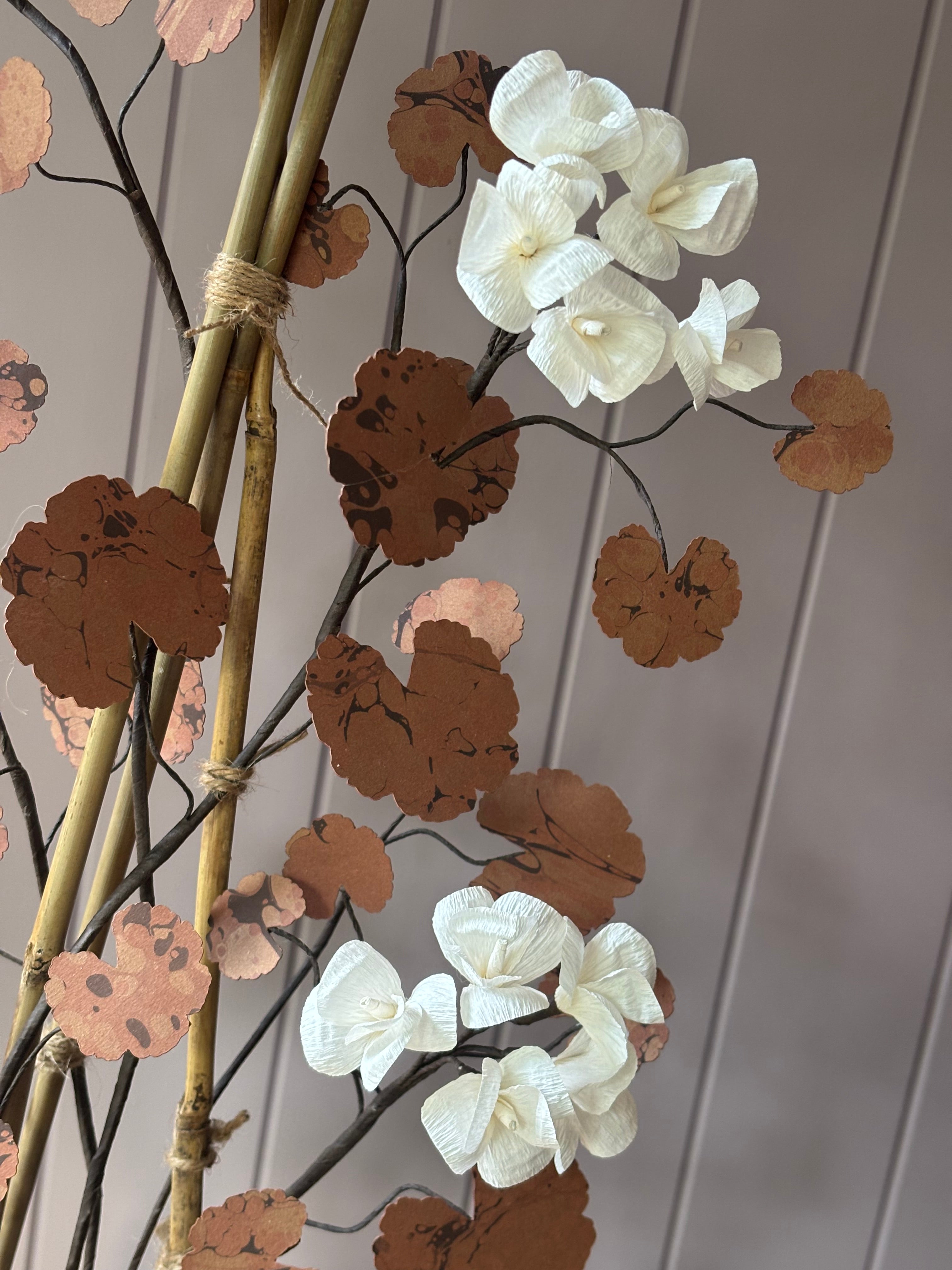 Paper geranium