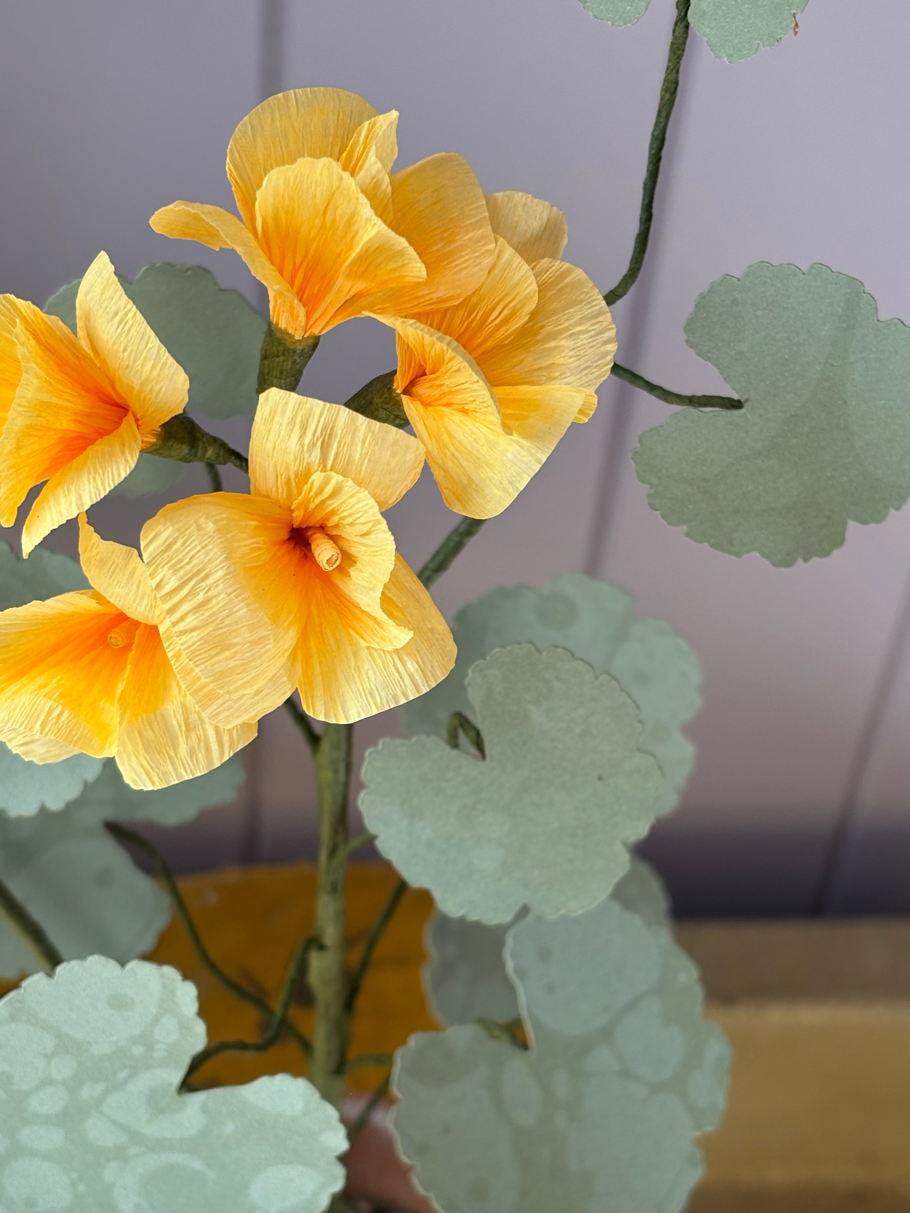 Paper Geranium