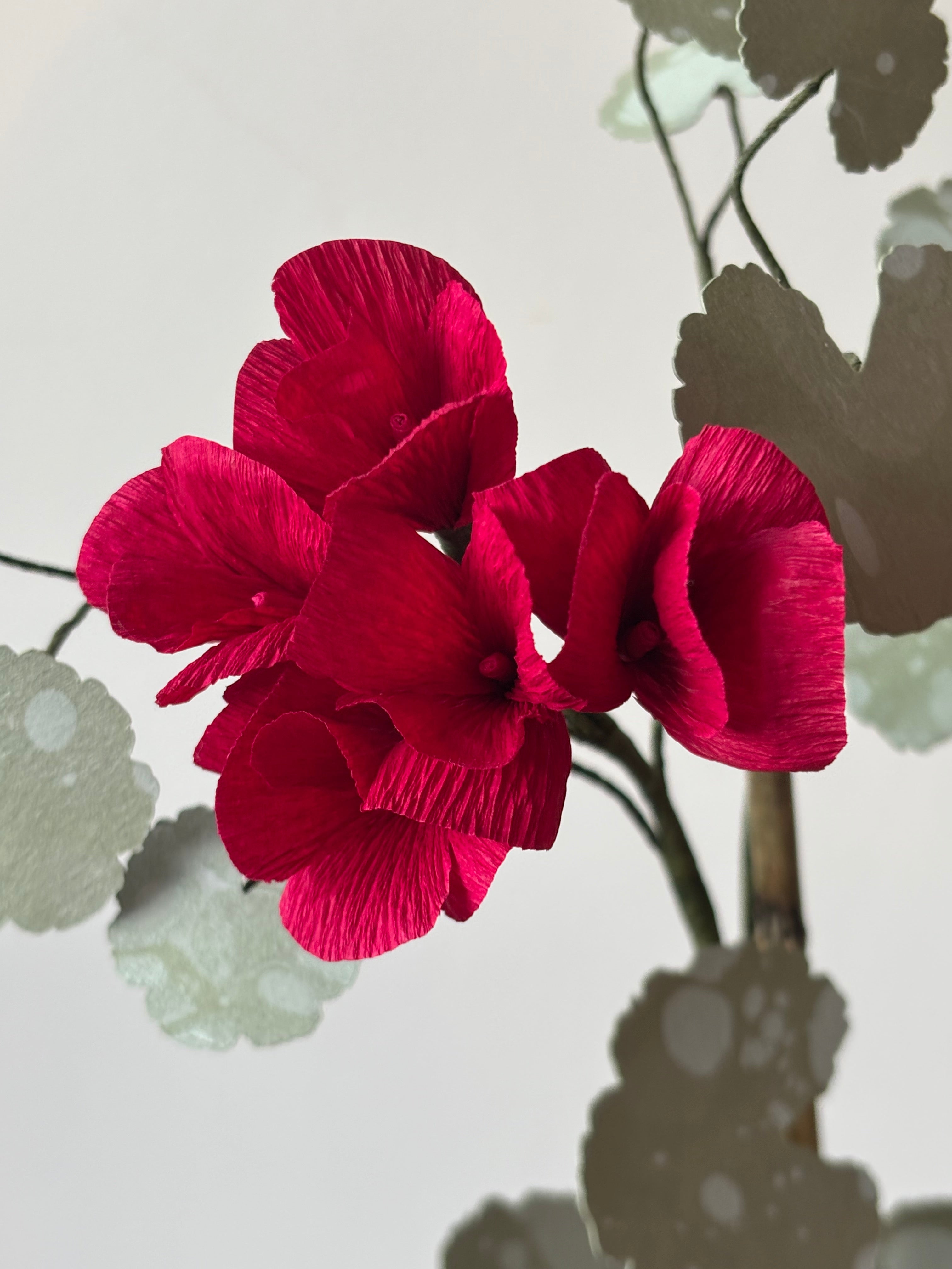 Paper Geranium