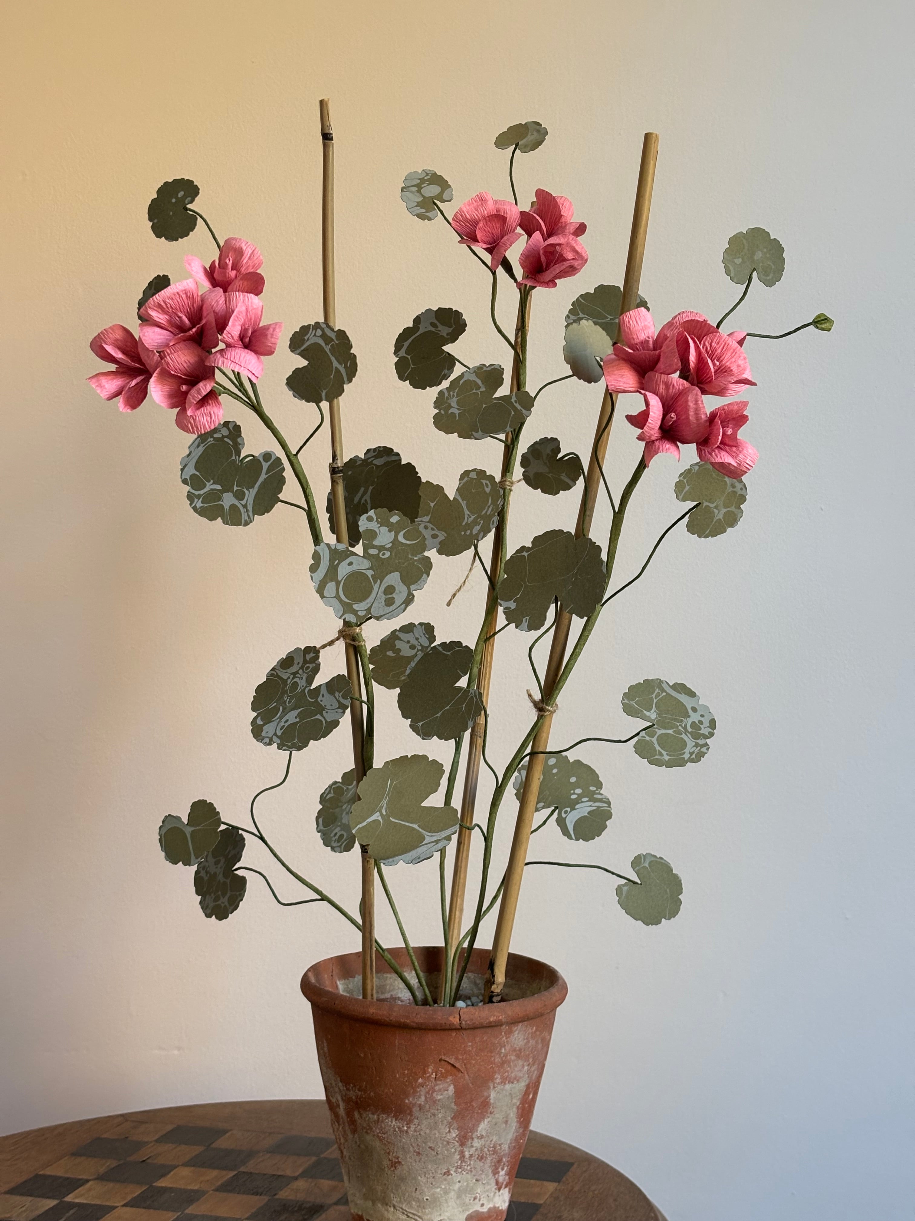 Paper Geranium