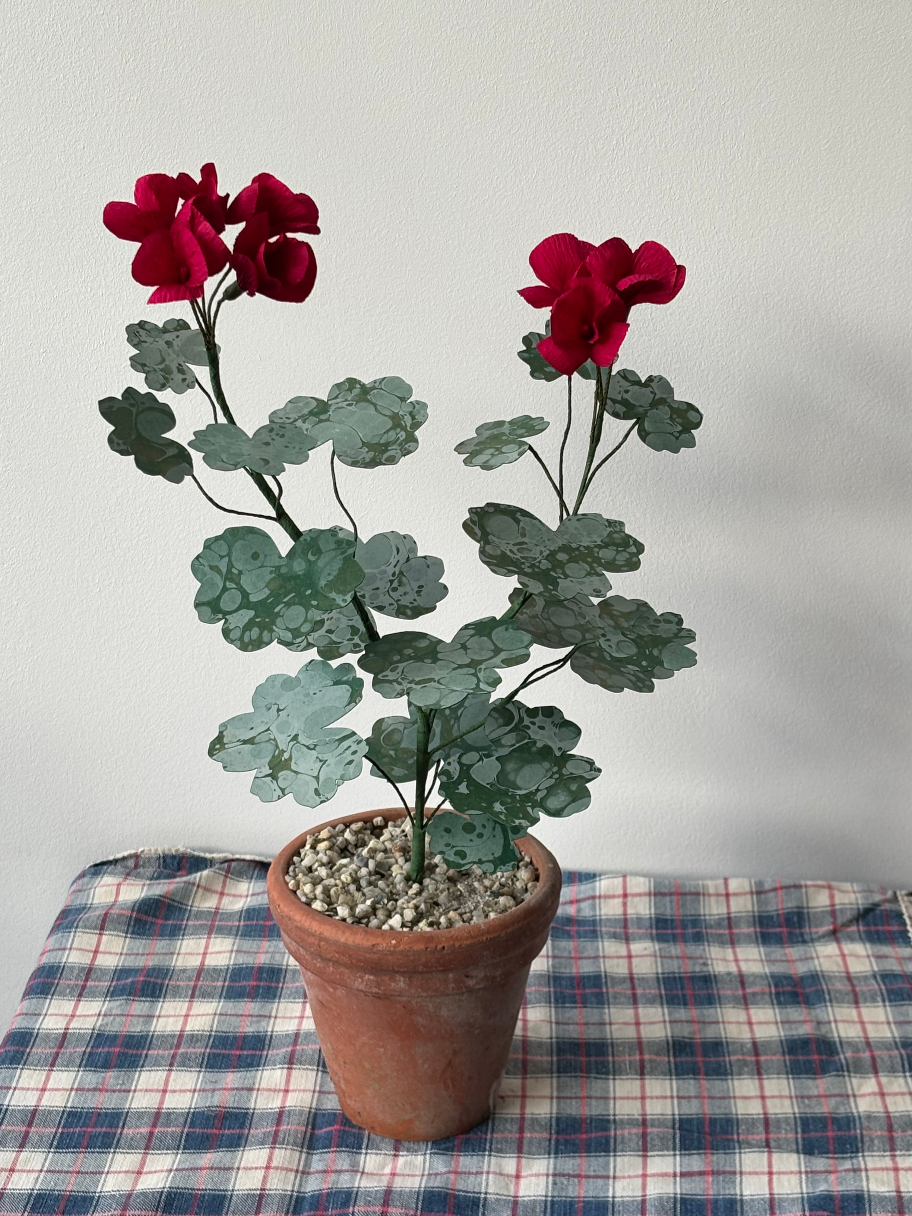 Paper Geranium