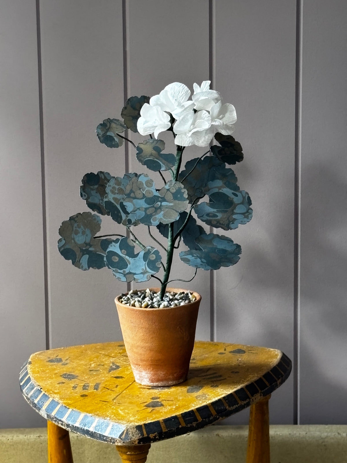 Paper geranium