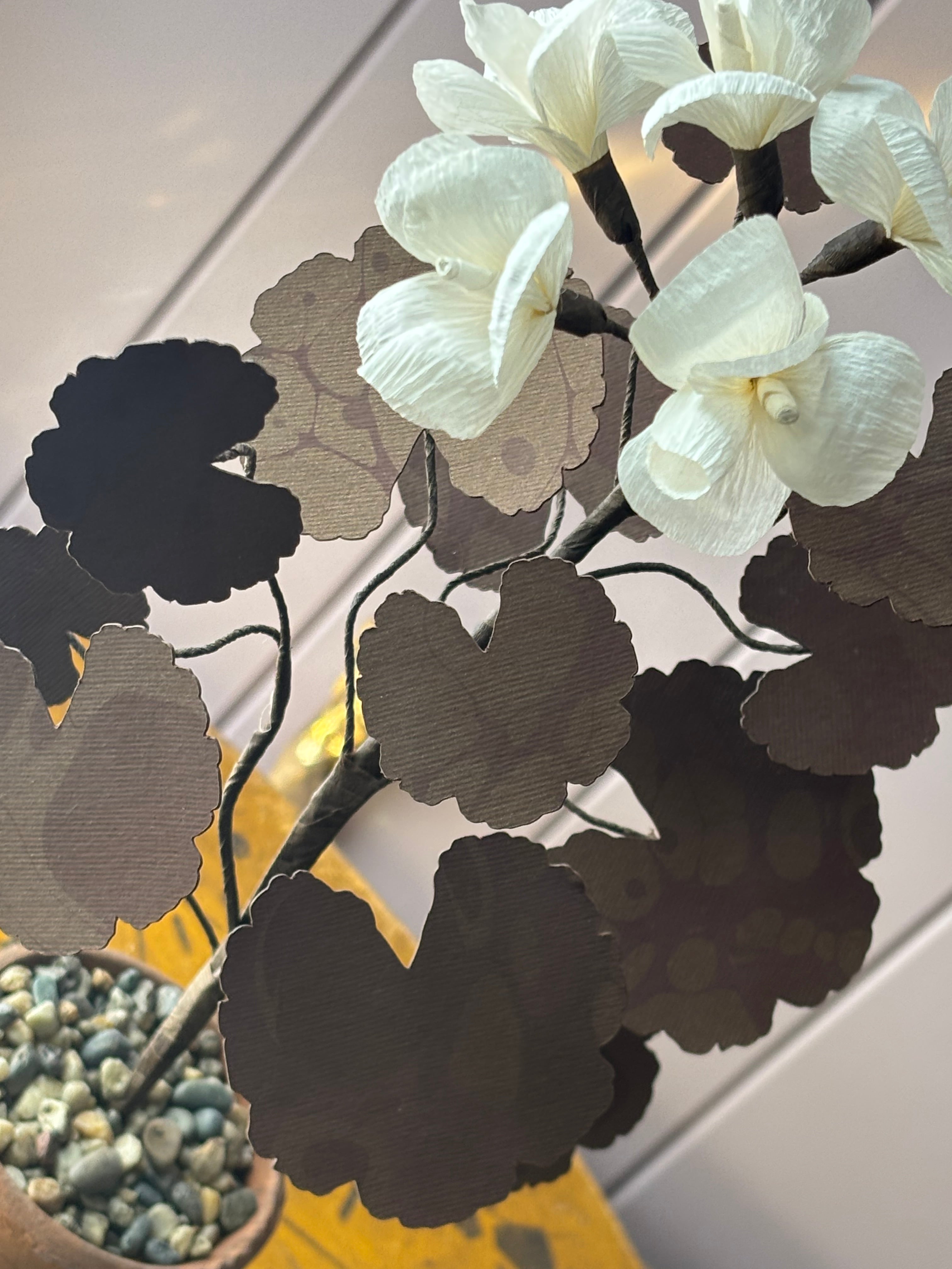 Paper geranium