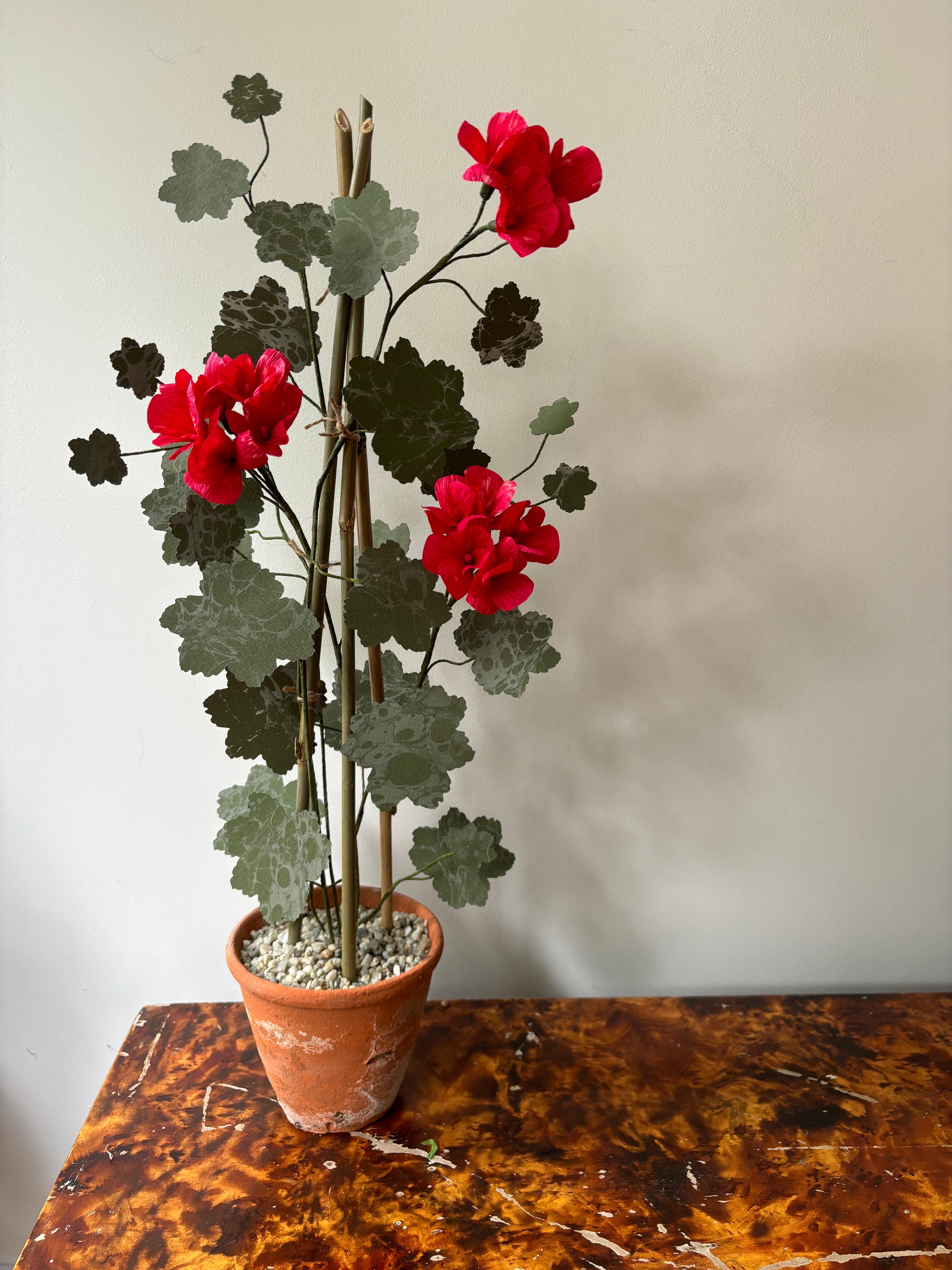 Paper Geranium