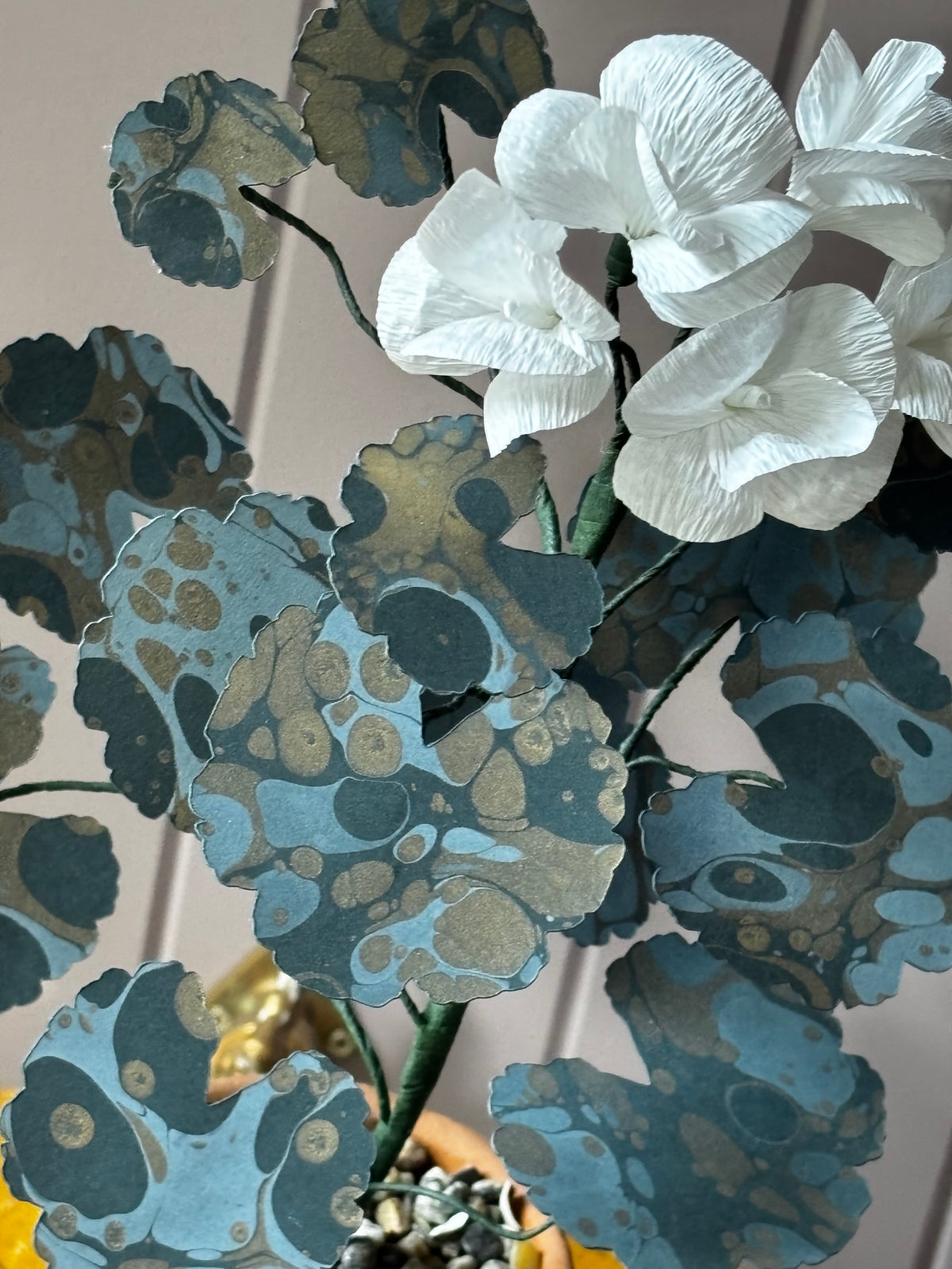 Paper geranium