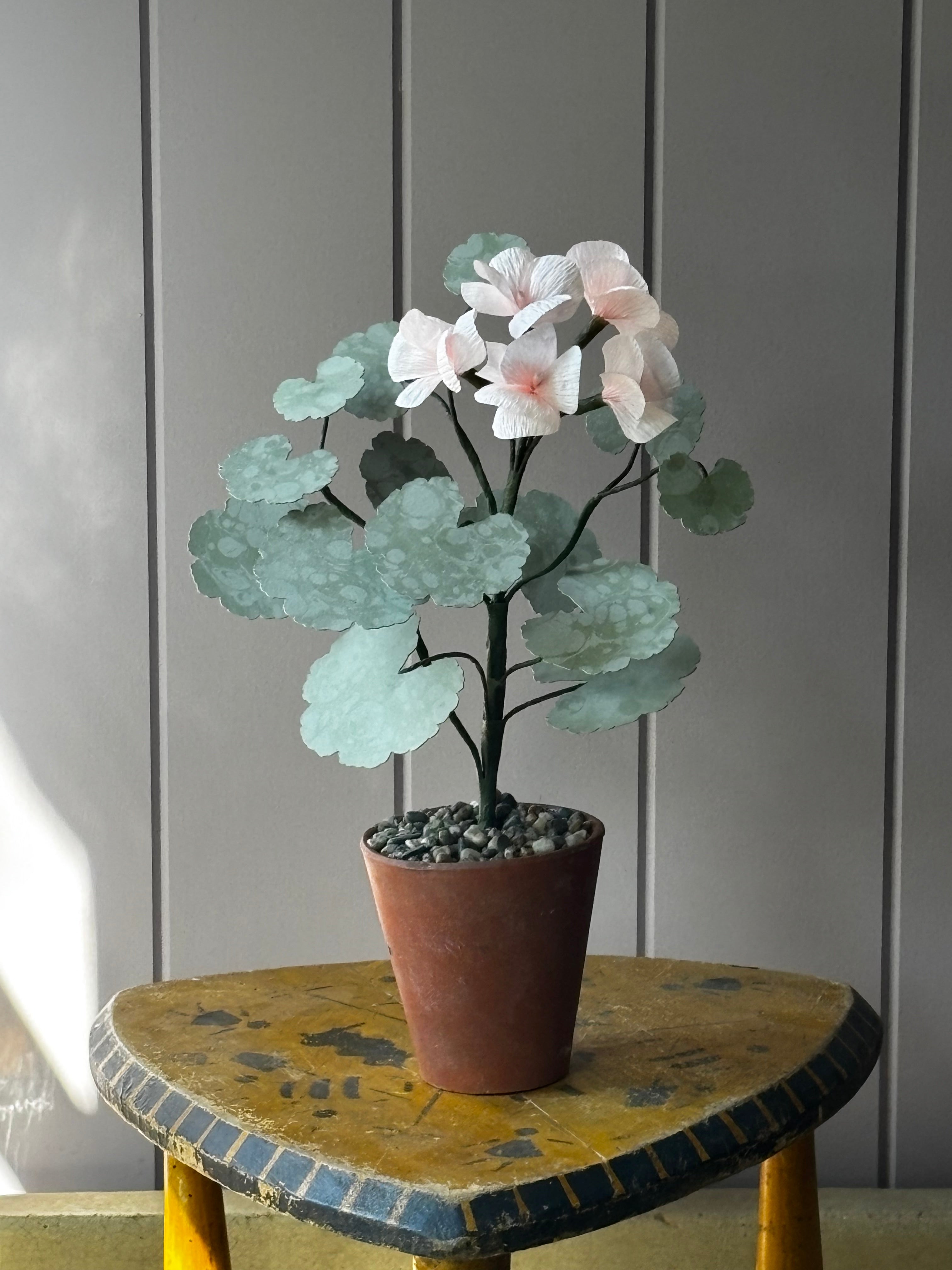 Paper geranium