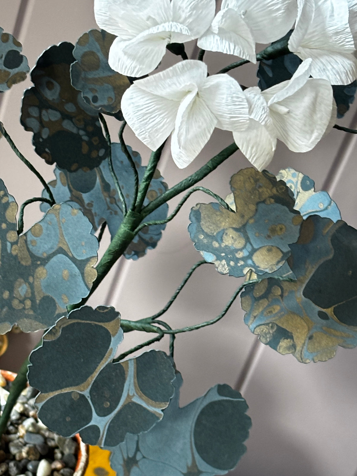 Paper geranium