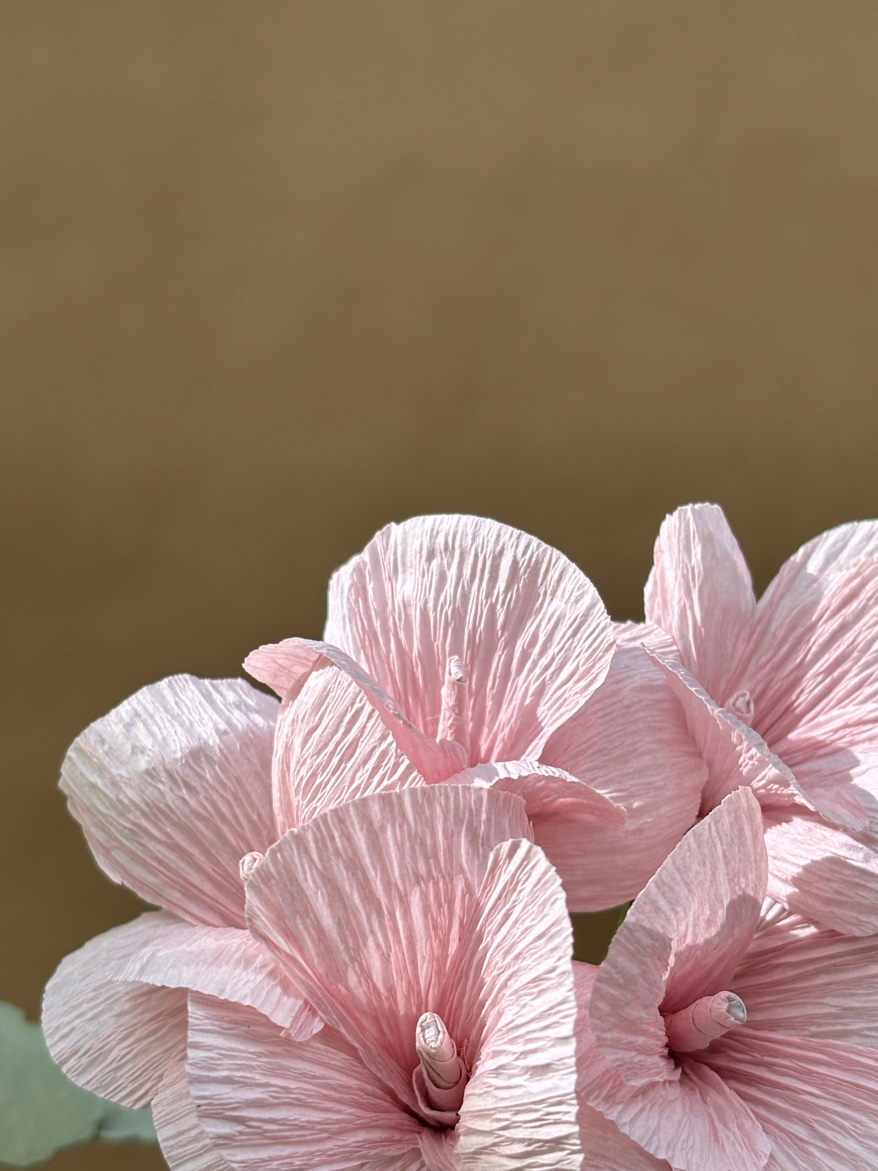 Paper Geranium