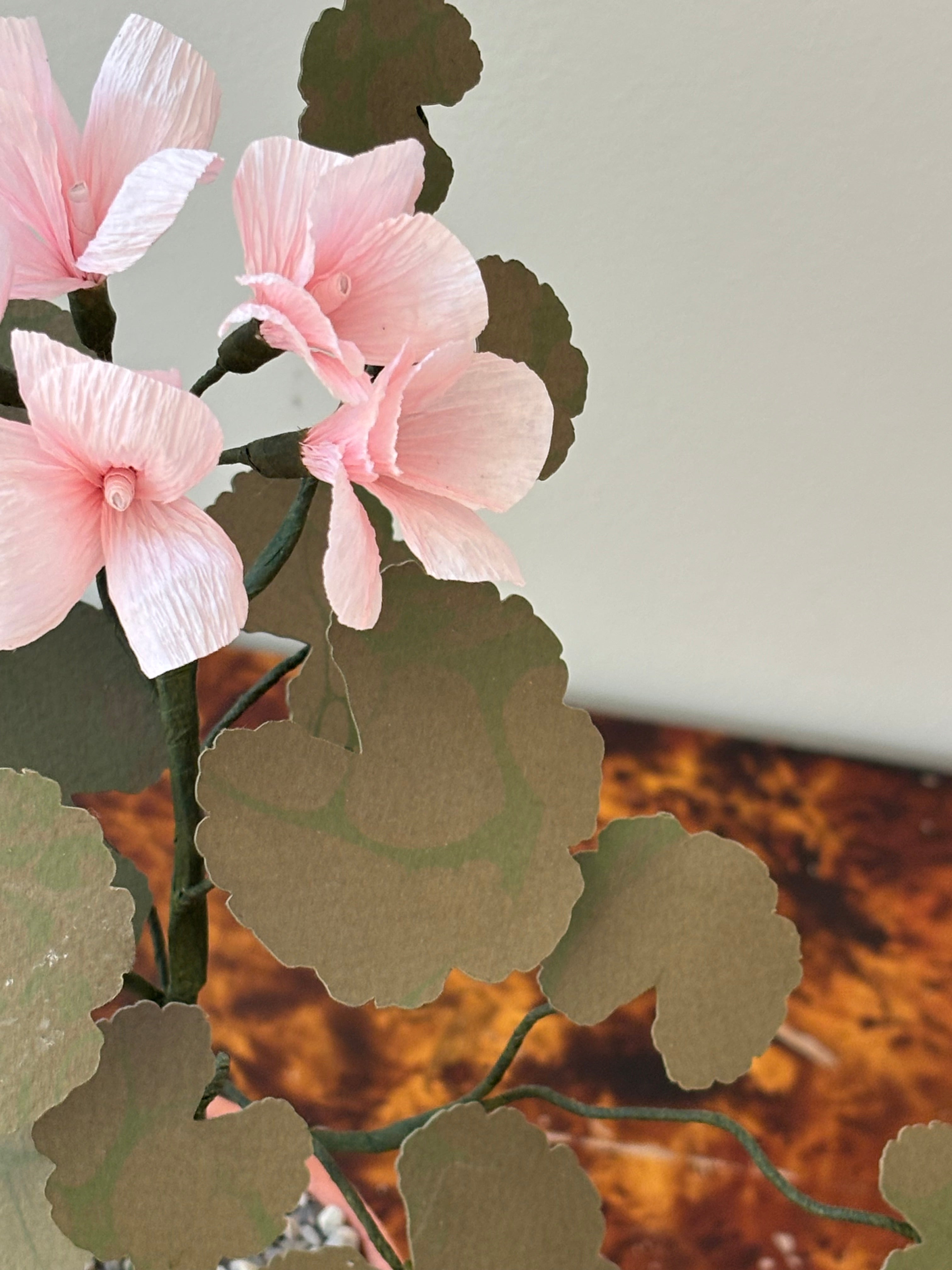 Paper Geranium SECOND