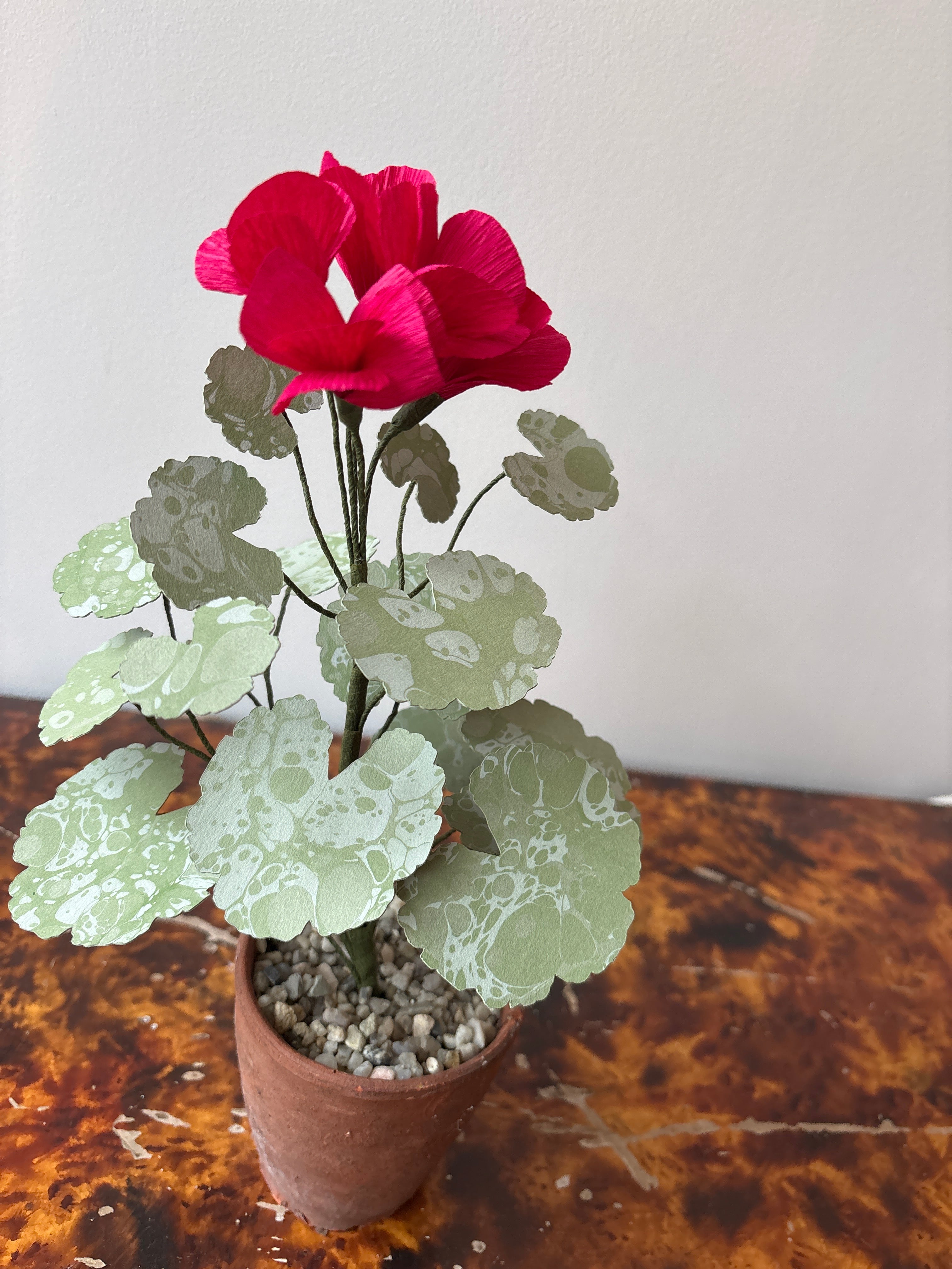 Paper Geranium