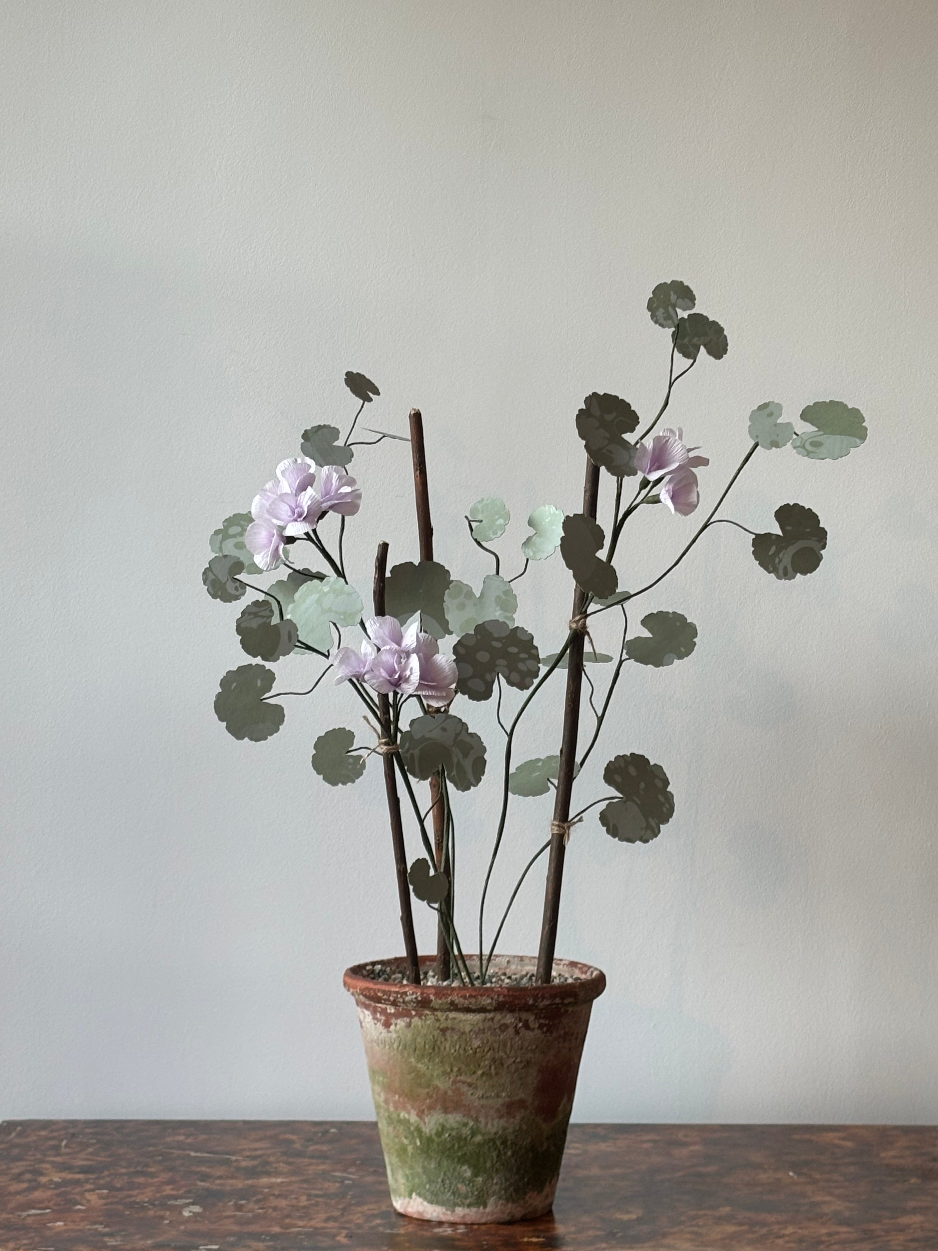 Paper Geranium