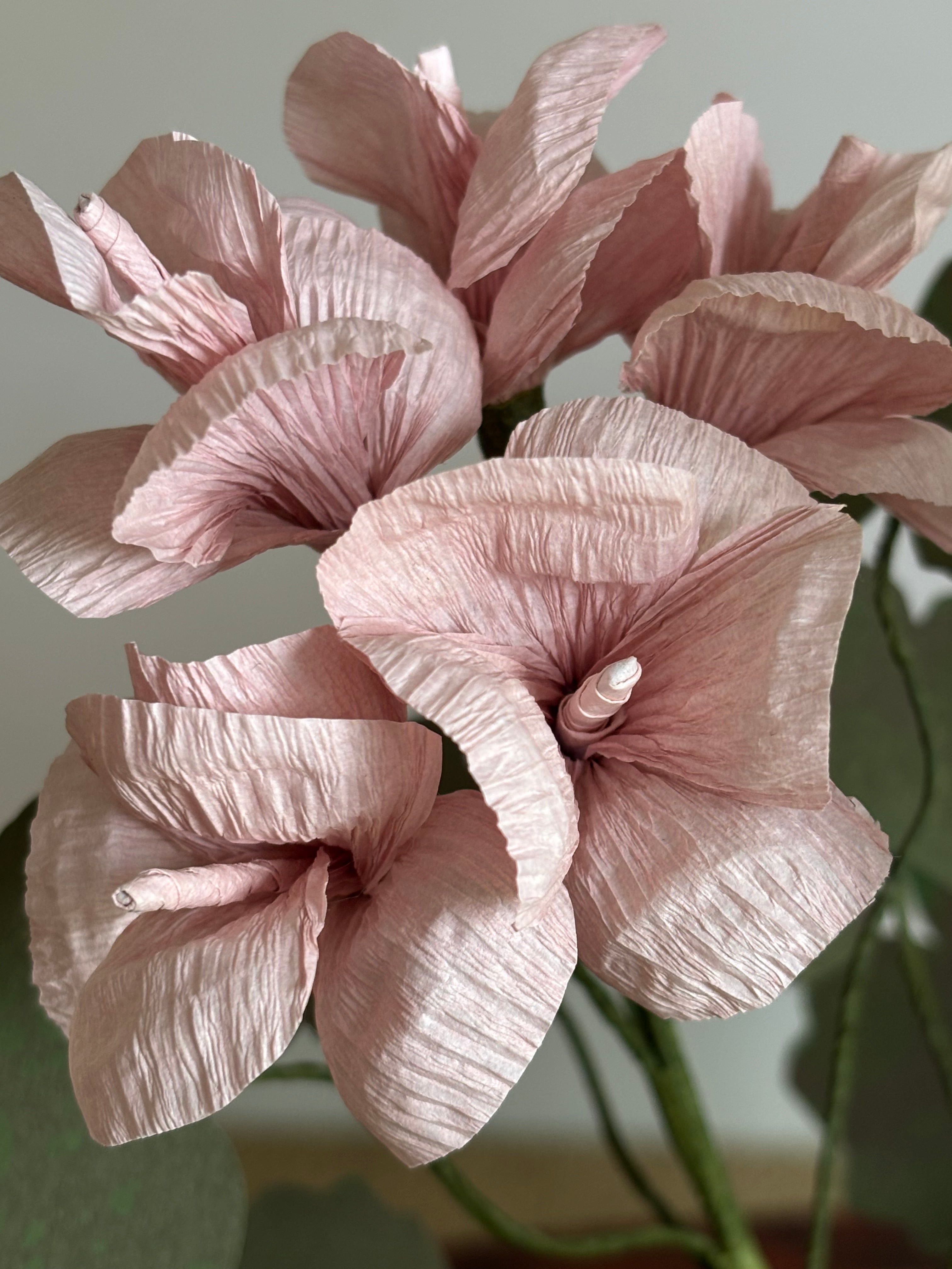 Paper Geranium
