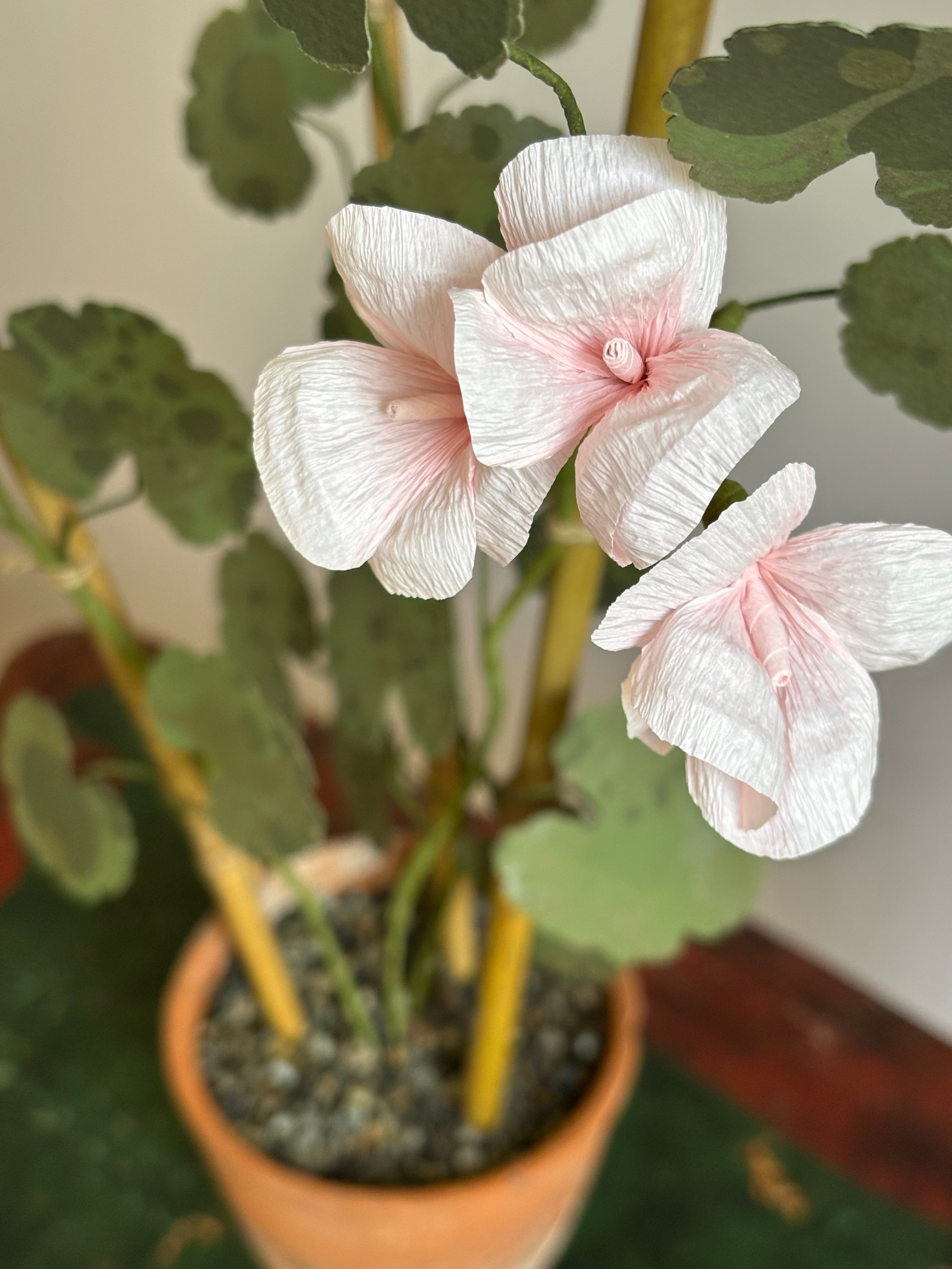 Paper Geranium