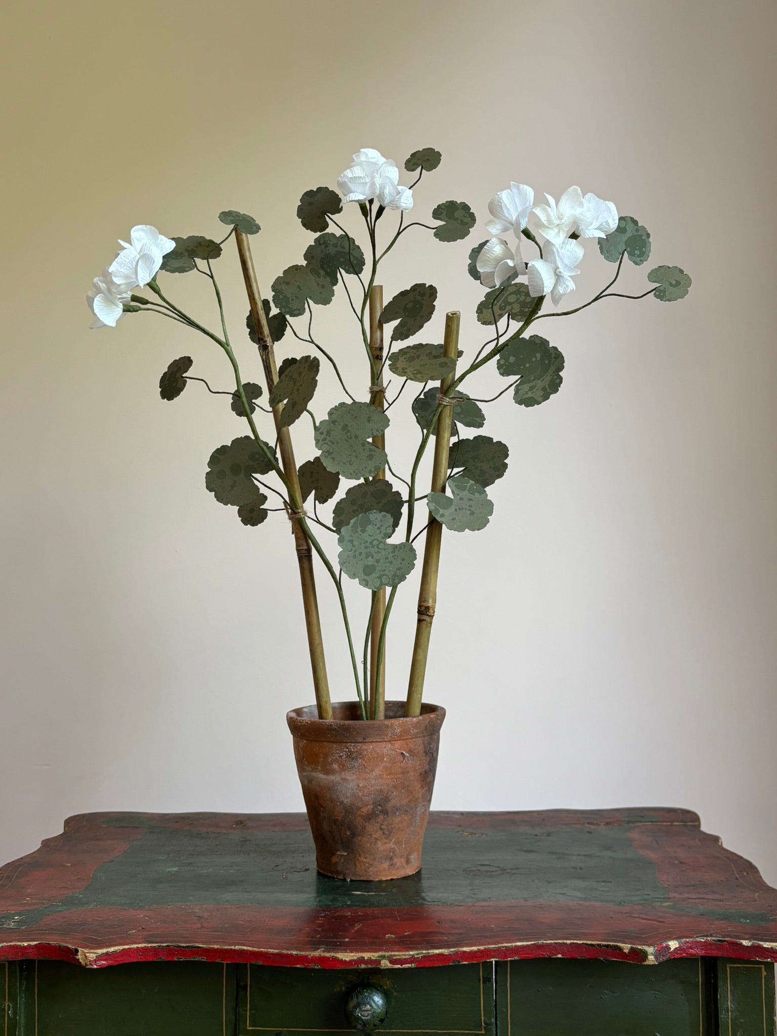 Paper Geranium