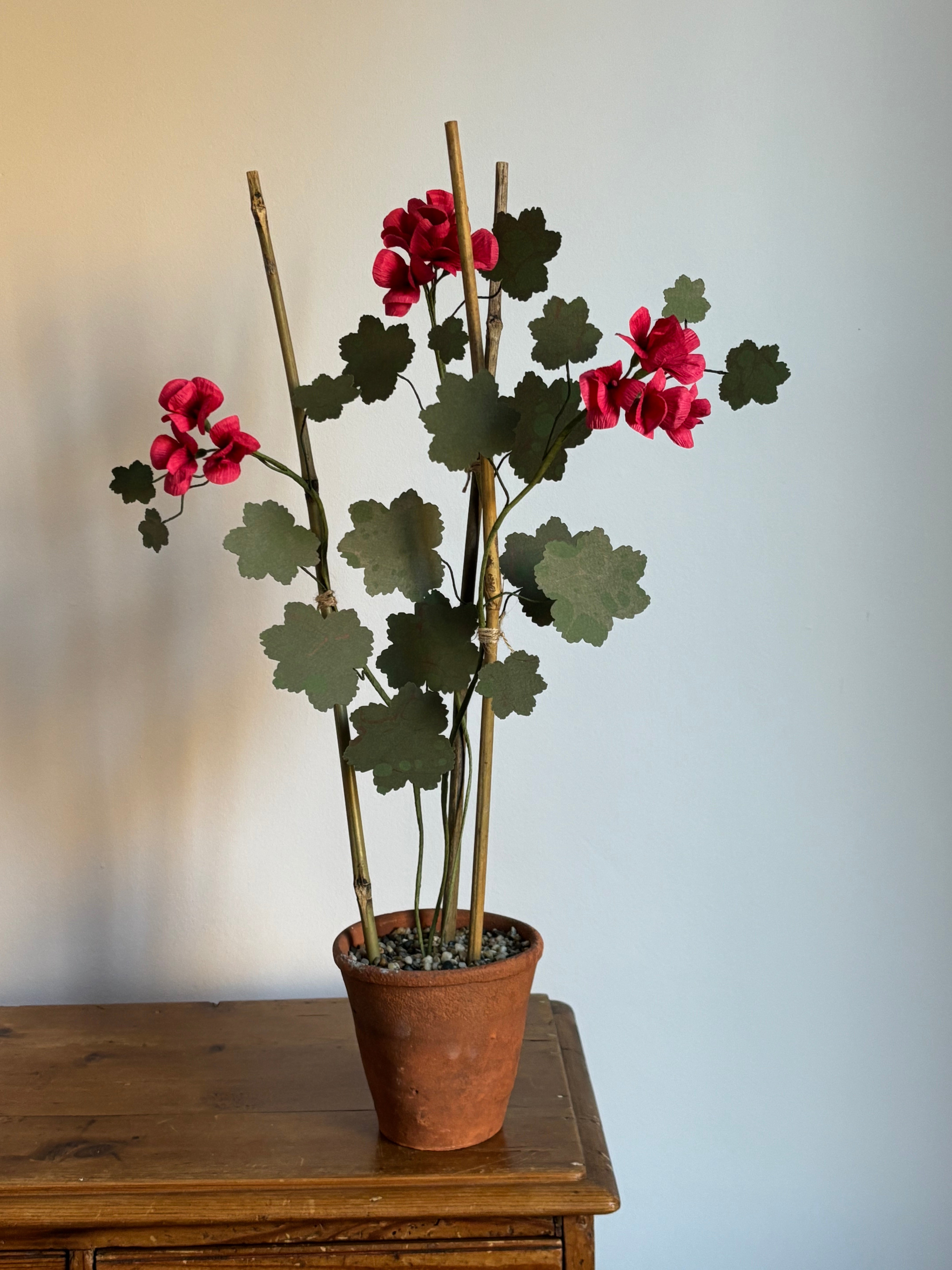 Paper Geranium