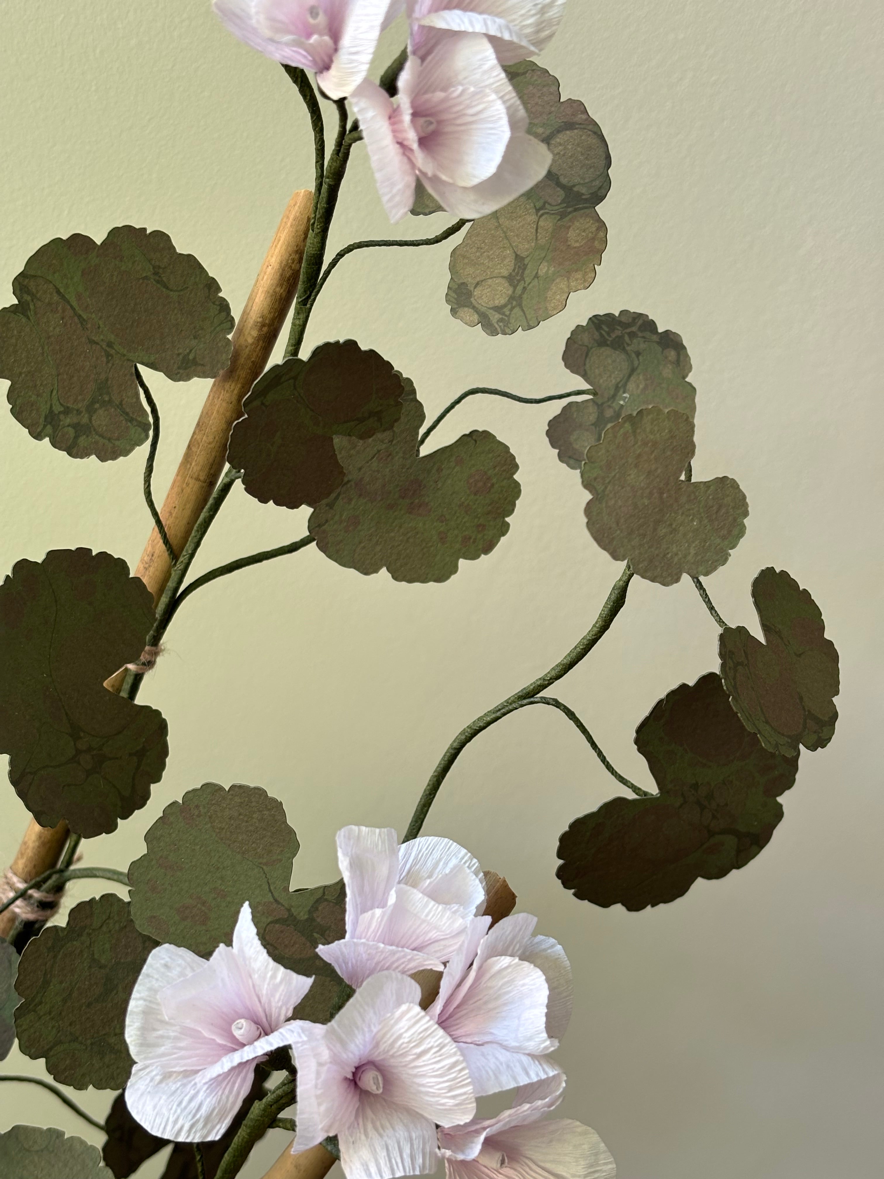 Paper Geranium