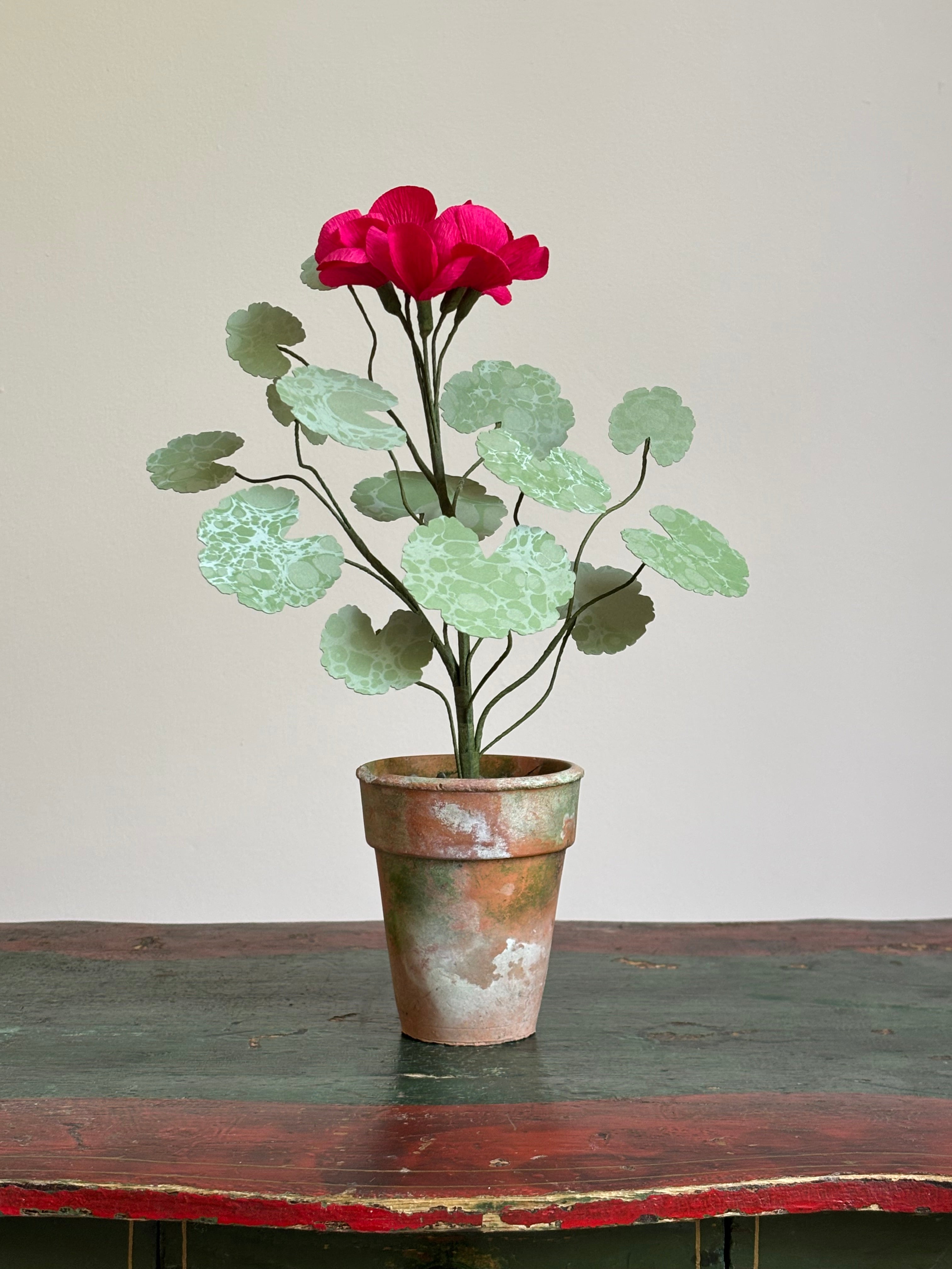 Paper Geranium