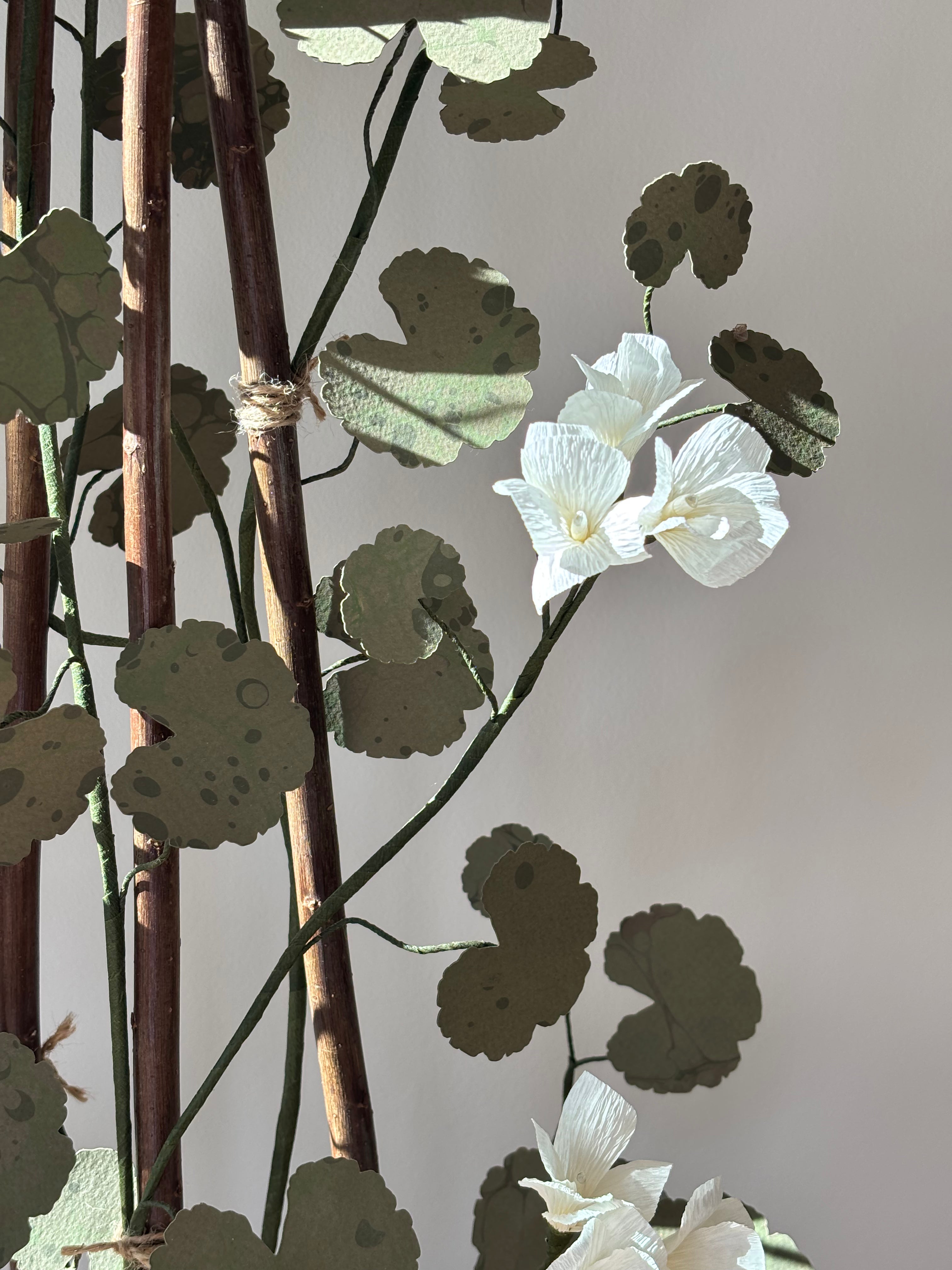 Paper Geranium - UK Delivery Only