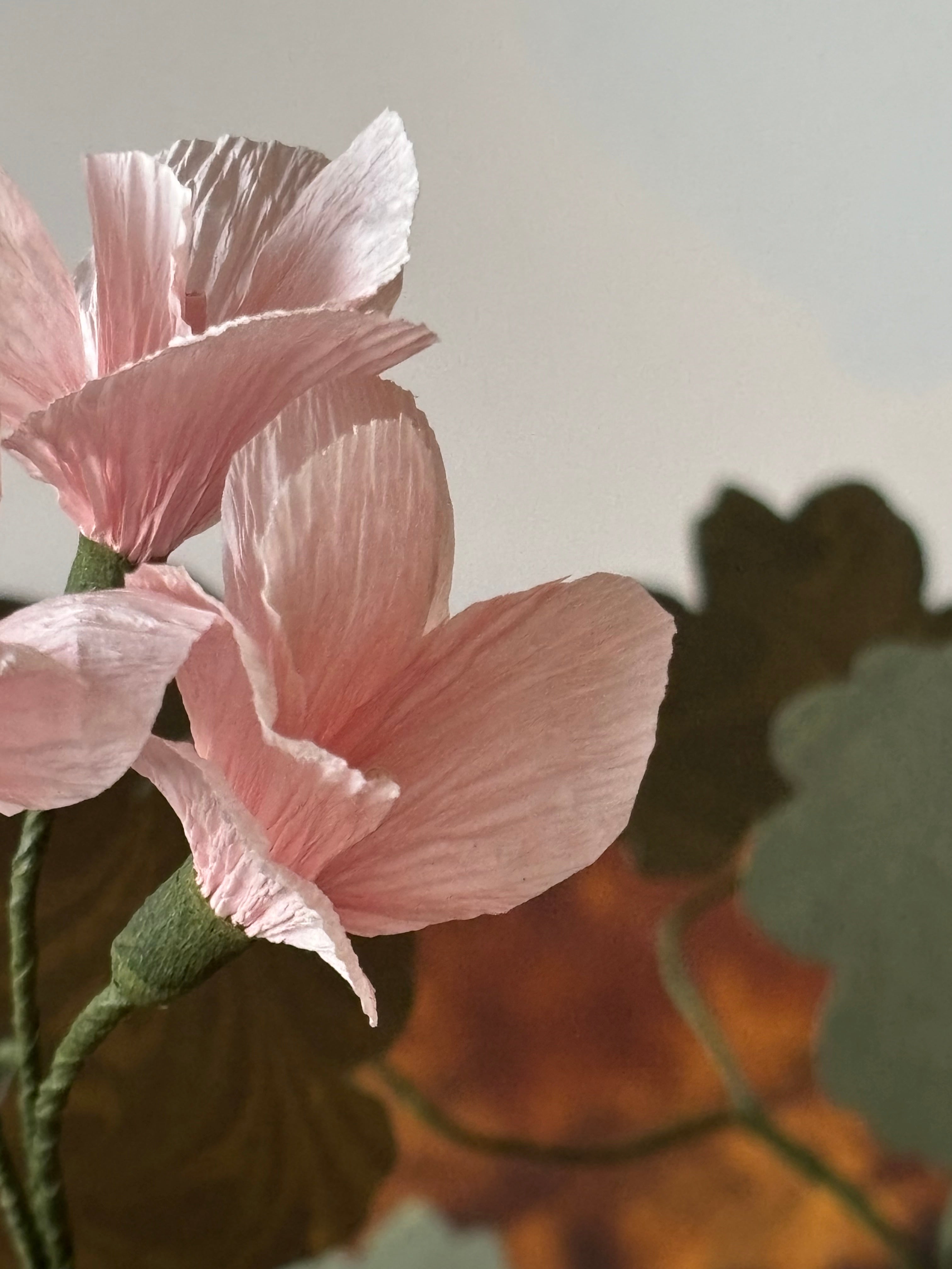 Paper Geranium