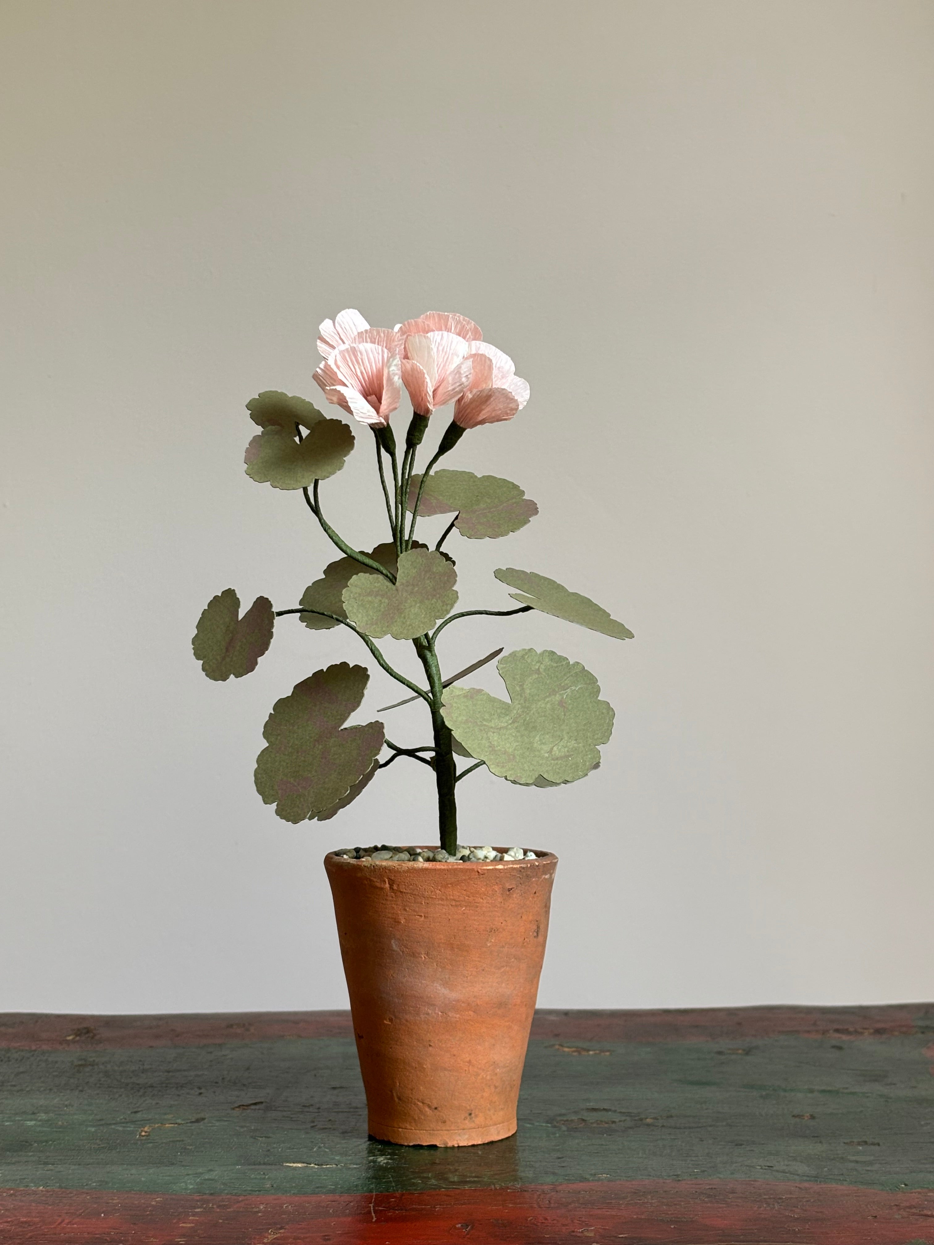 Paper Geranium