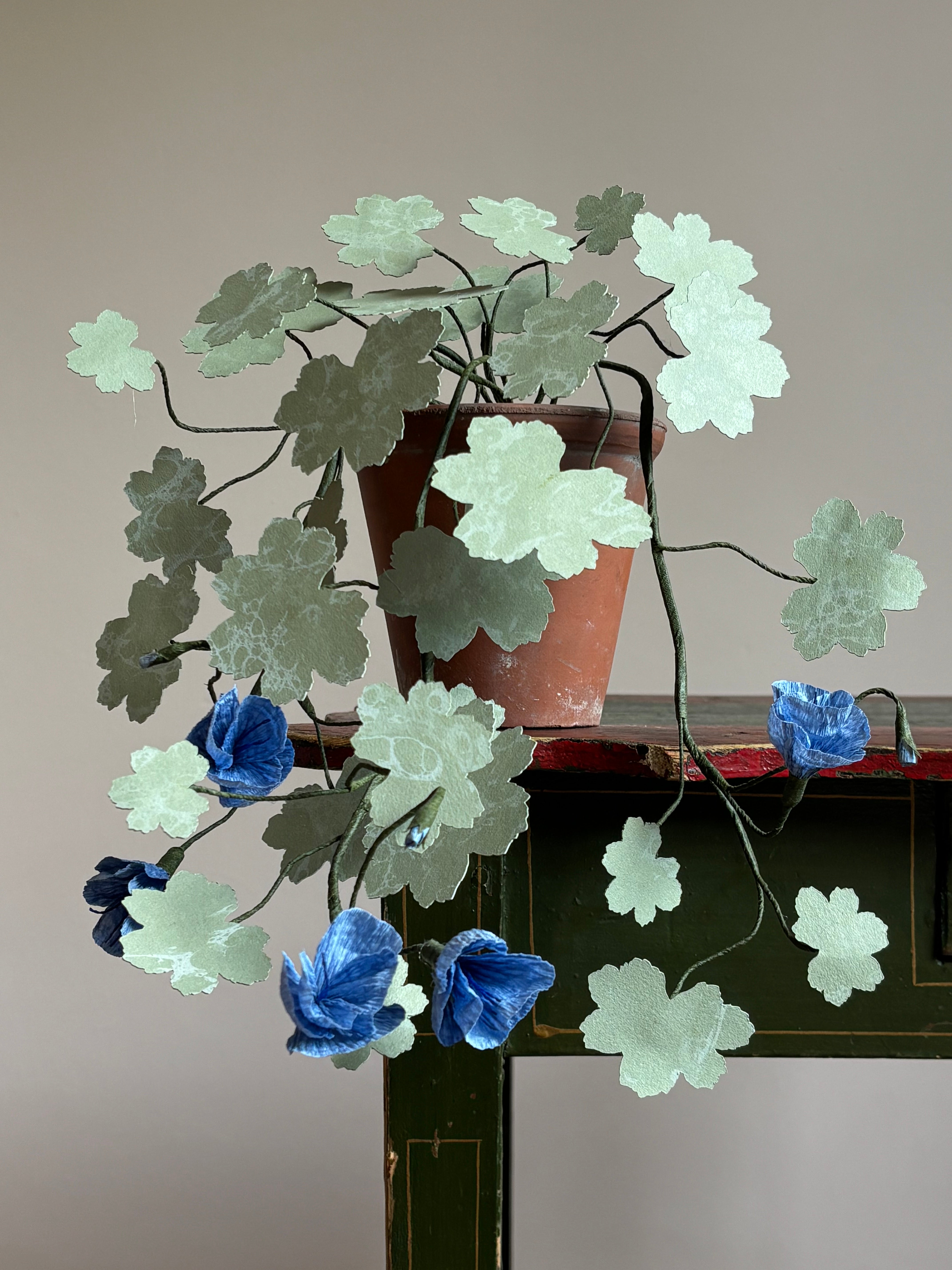 Paper hardy Geranium, trailing