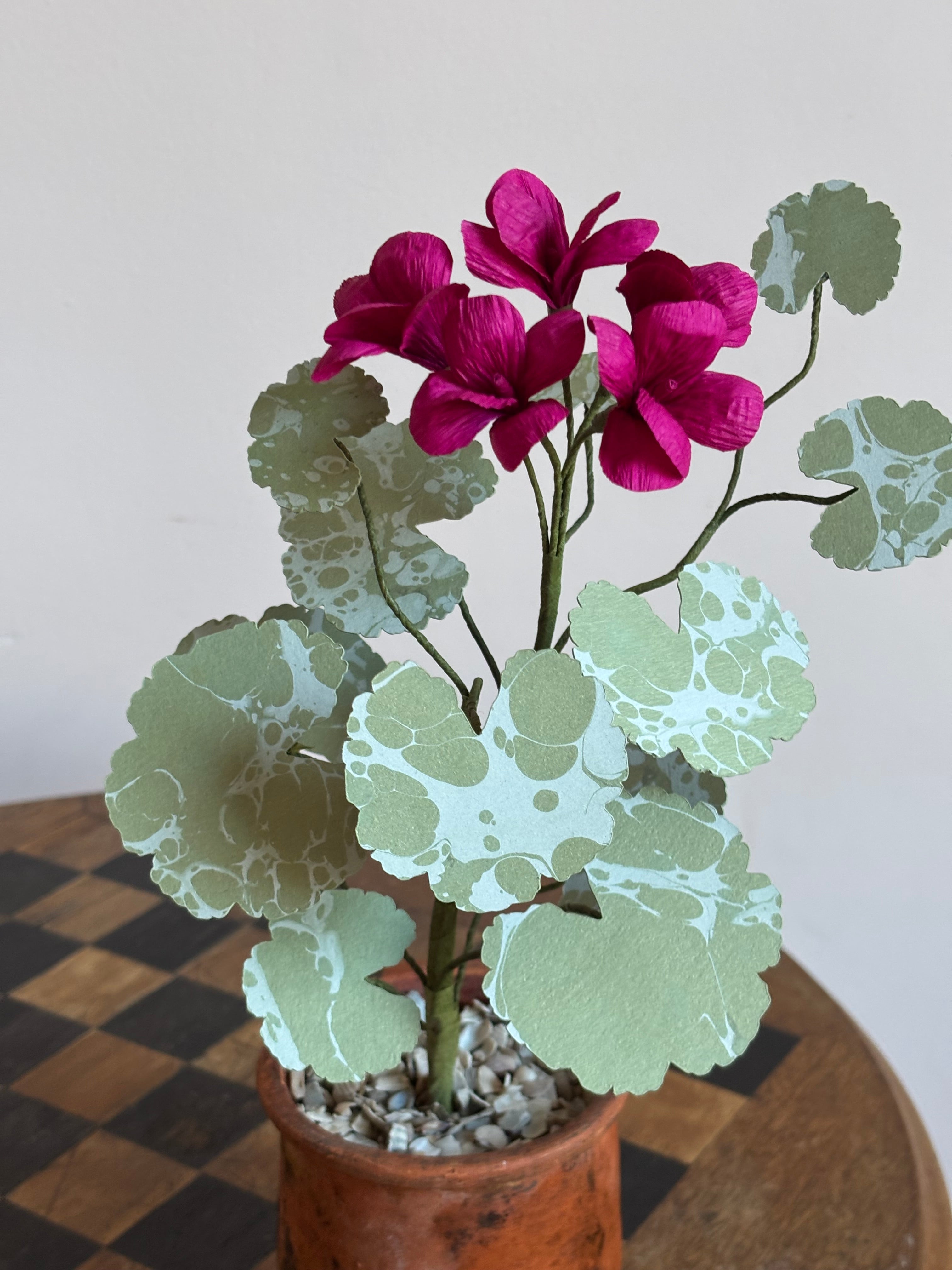 Paper Geranium