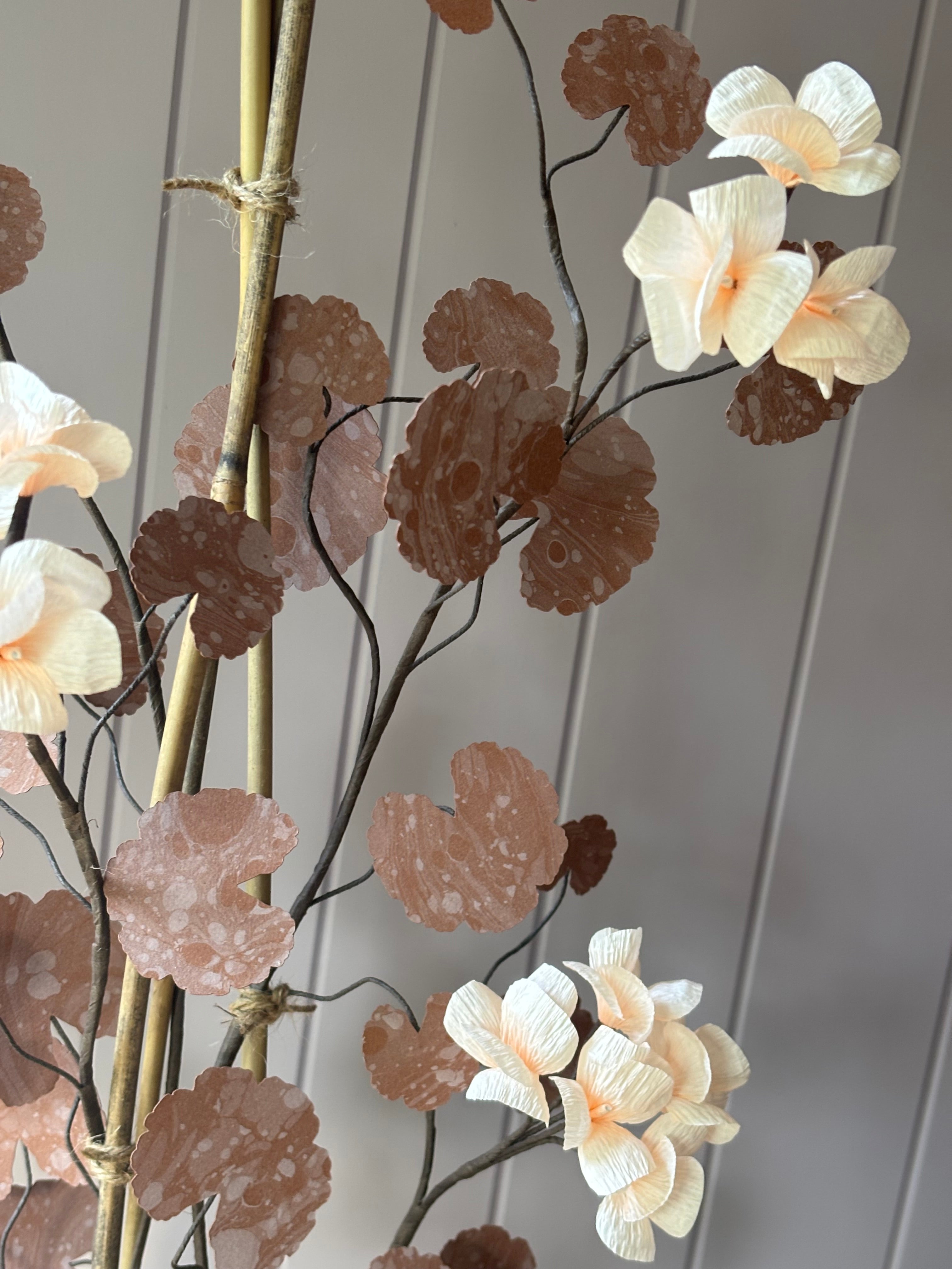 Paper geranium