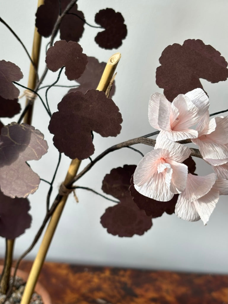 Paper Geranium