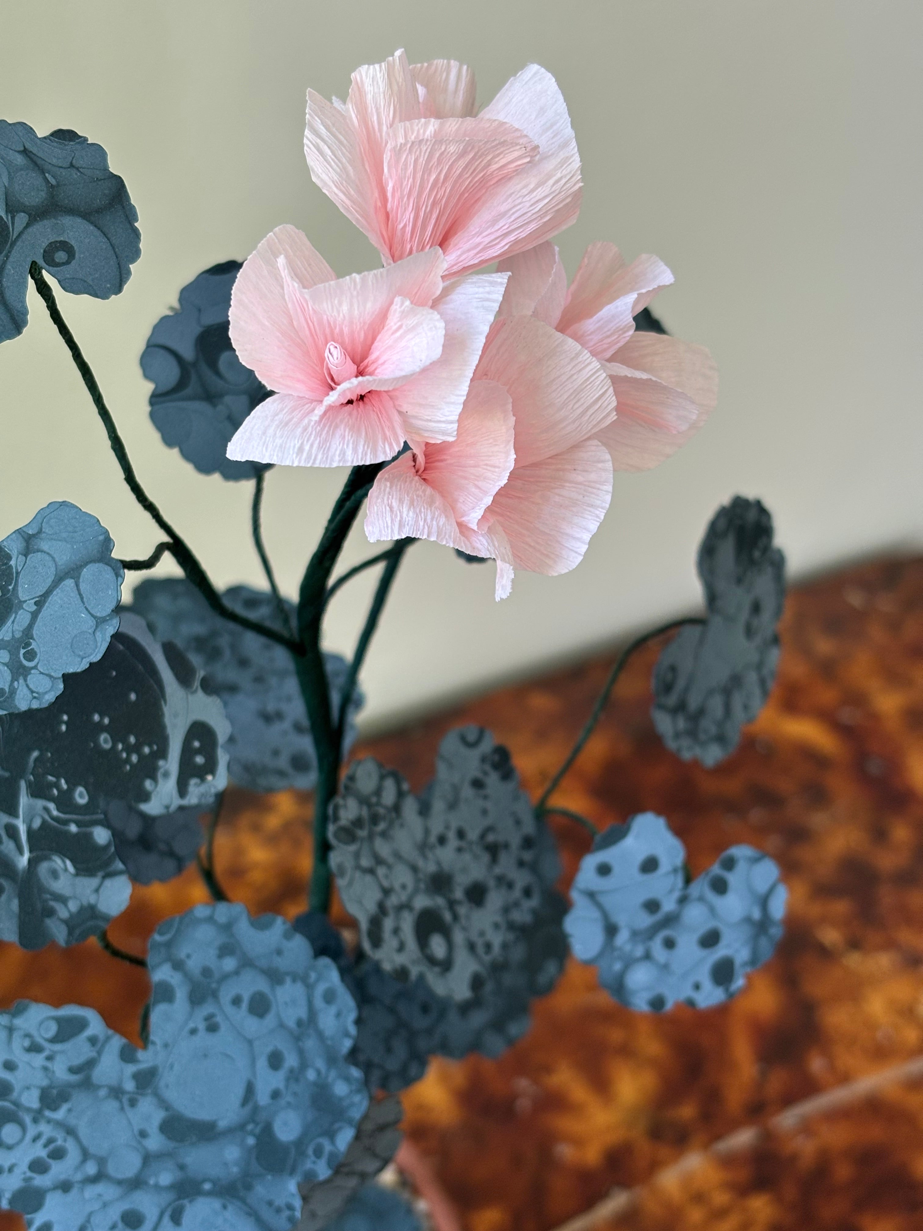 Paper Geranium
