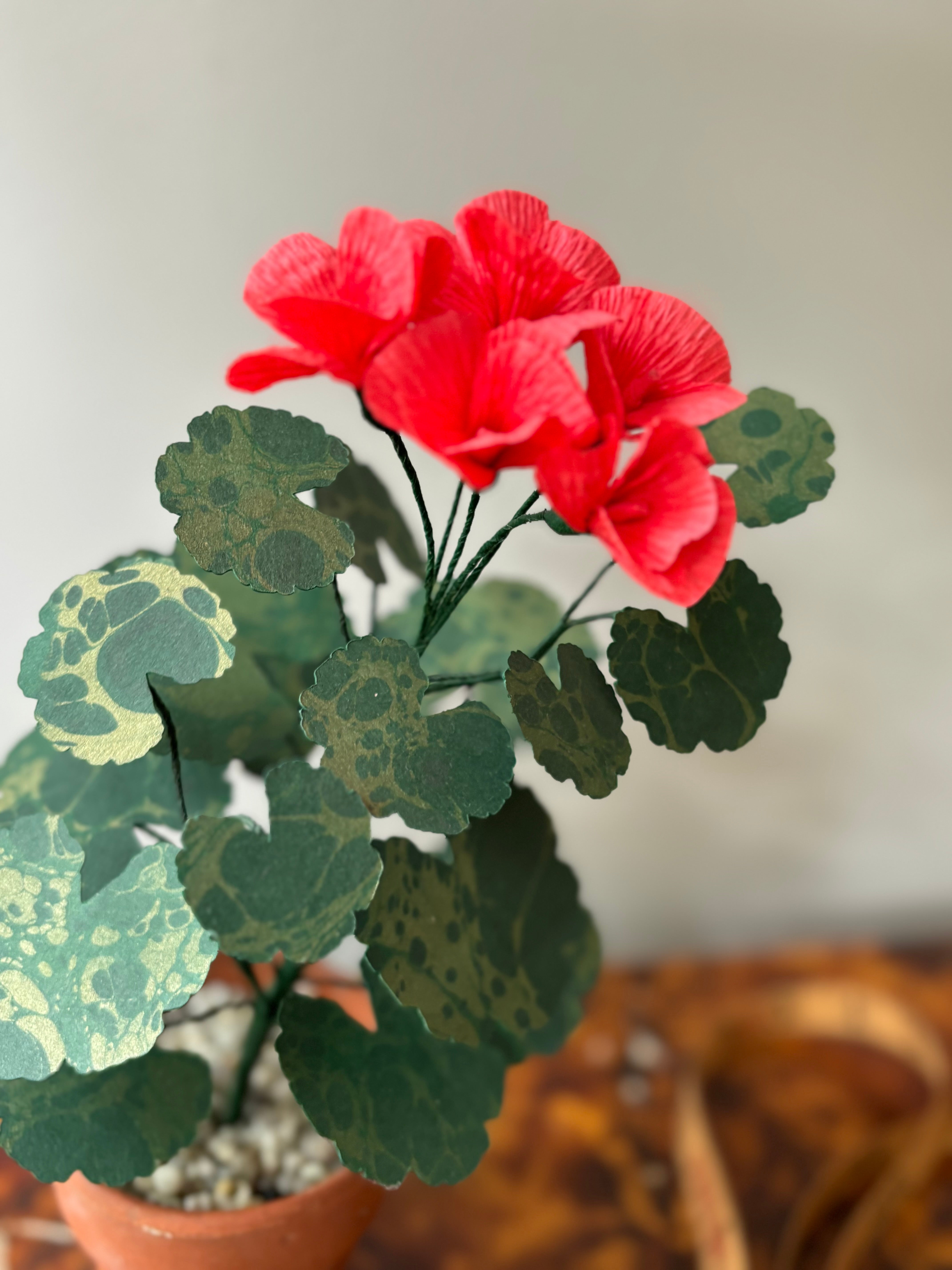 Paper Geranium